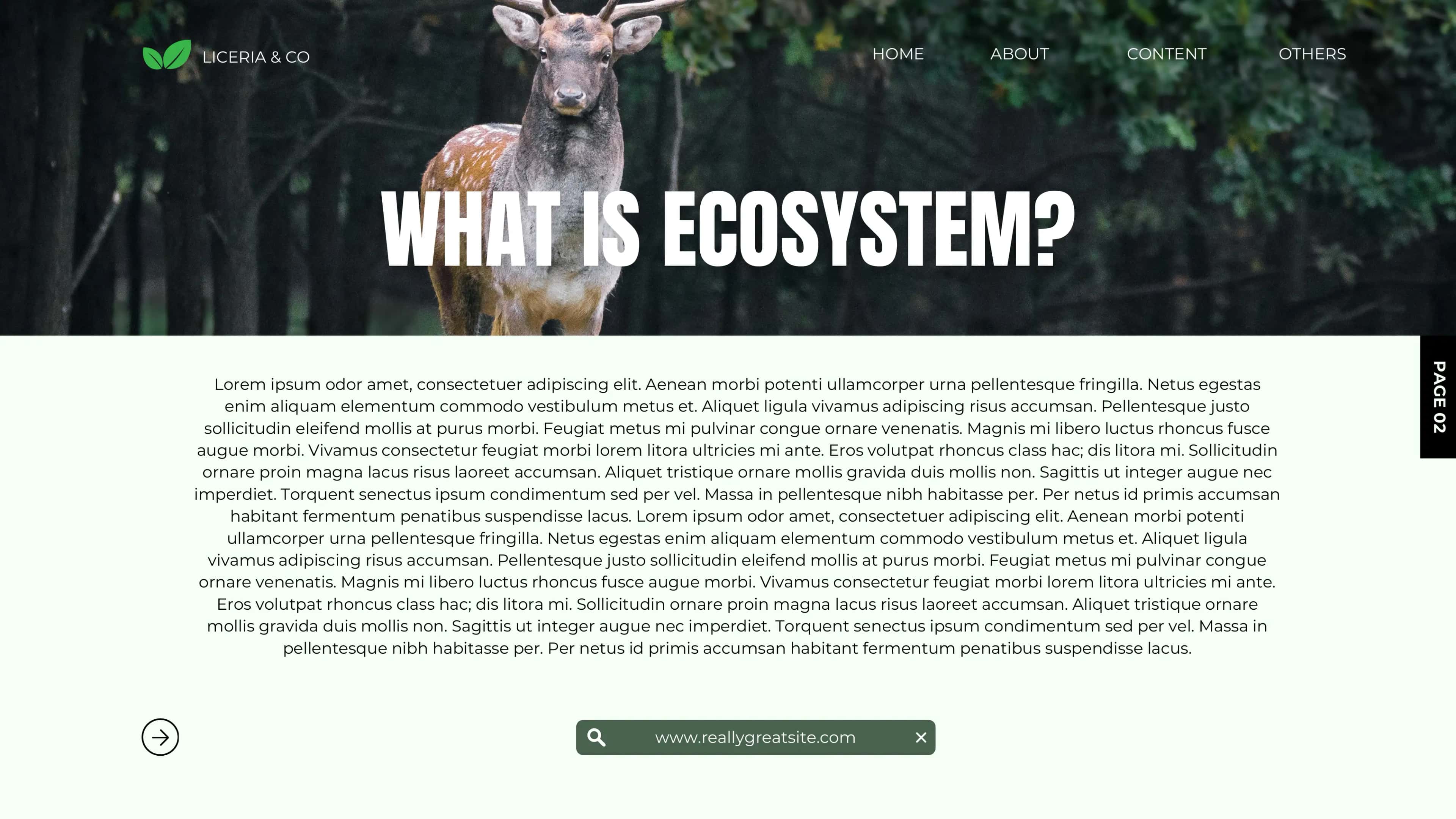 WHAT IS ECOSYSTEM? 2