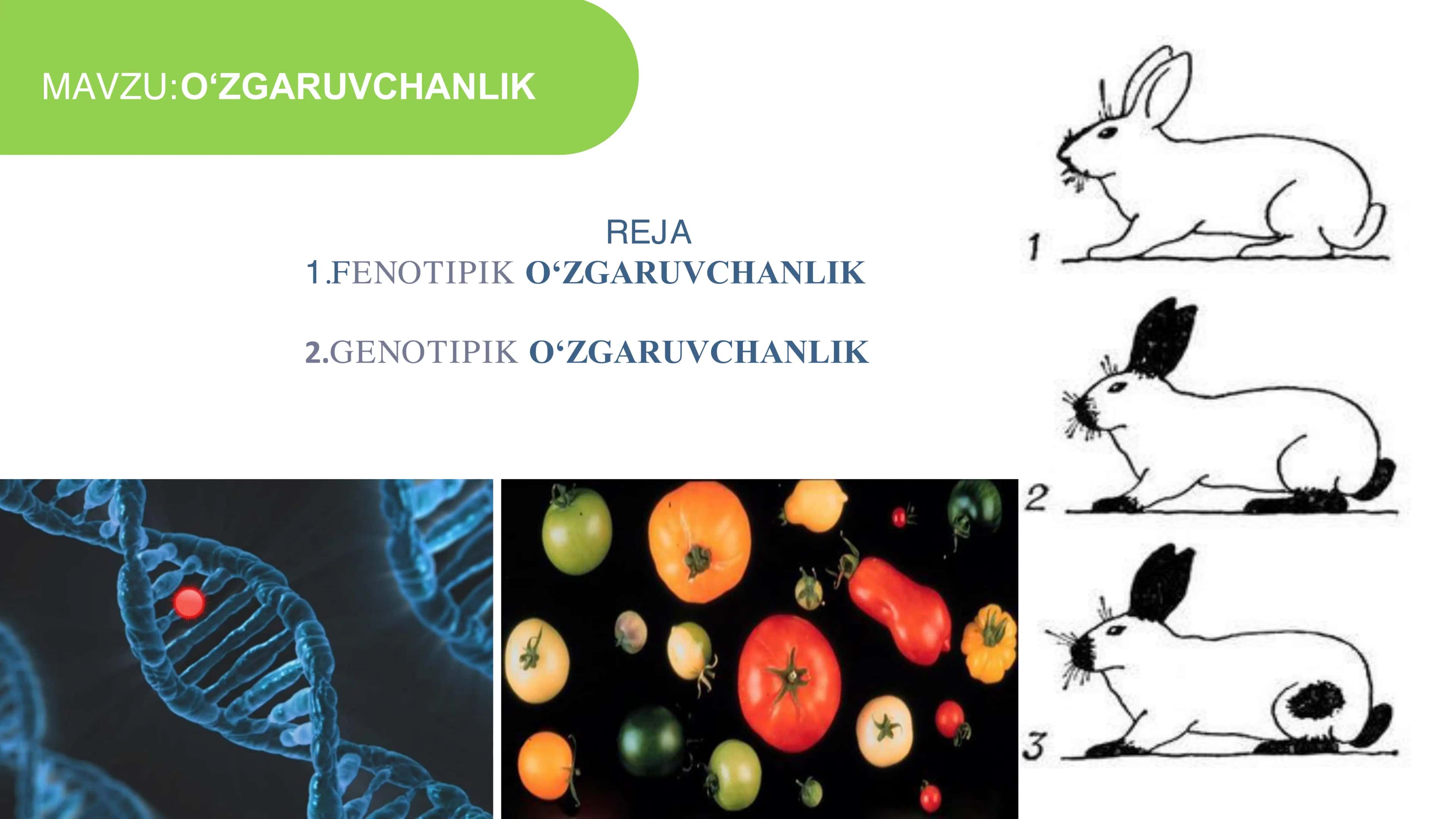 O‘ZGARUVCHANLIK 2