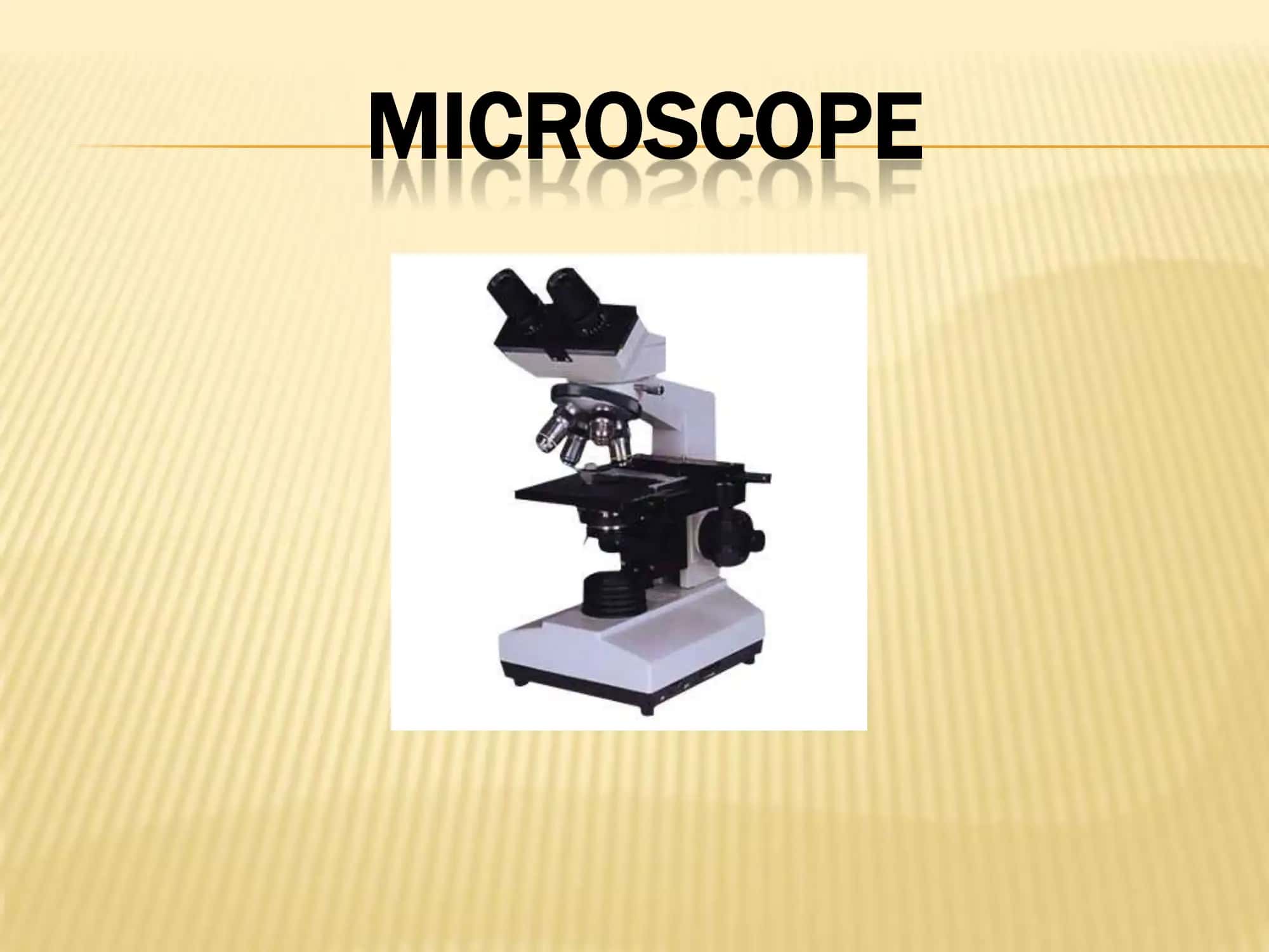 MICROSCOPE 2