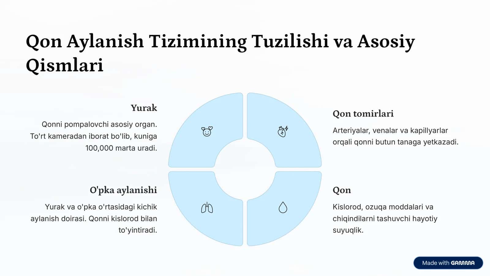 Qon Aylanish Tizimi 2