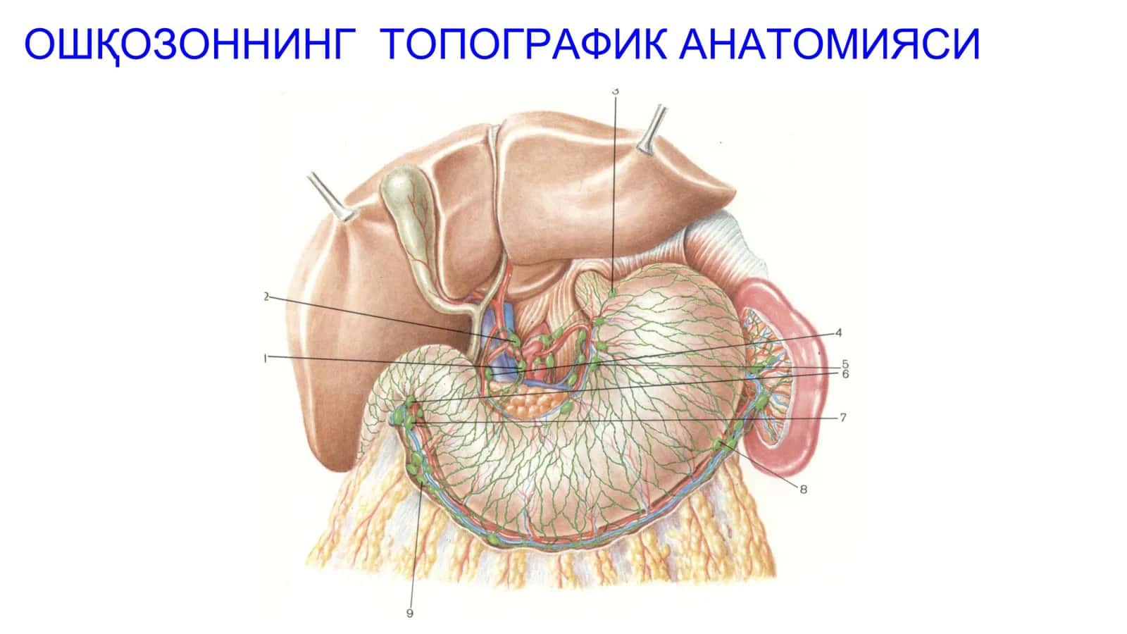 Ошқозон раки 2