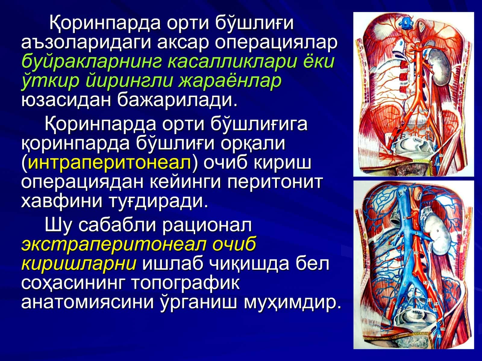 Қоринпарданинг Жарроҳлик Анатомияси 2