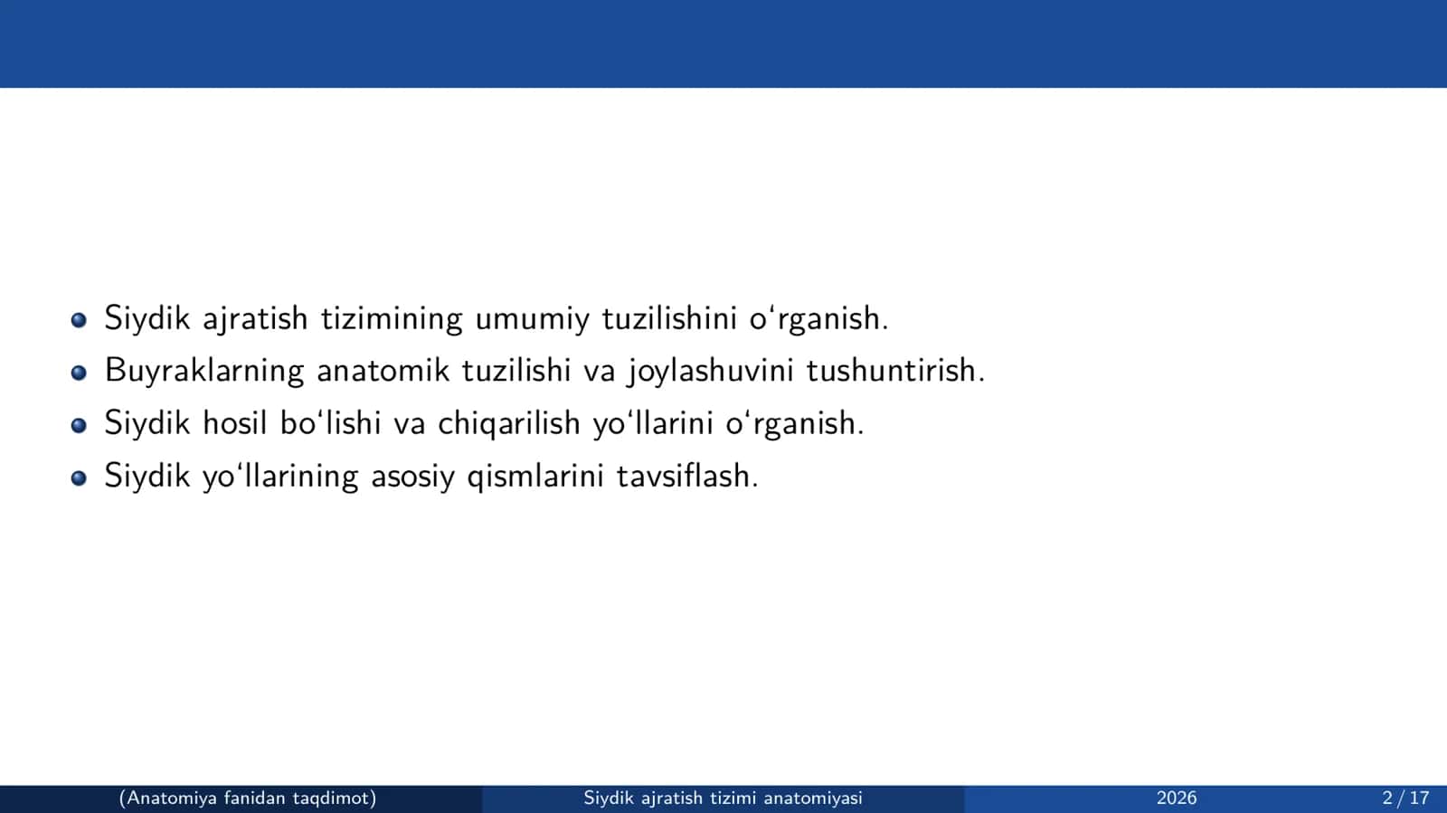 Siydik ajratish tizimi anatomiyasi 2