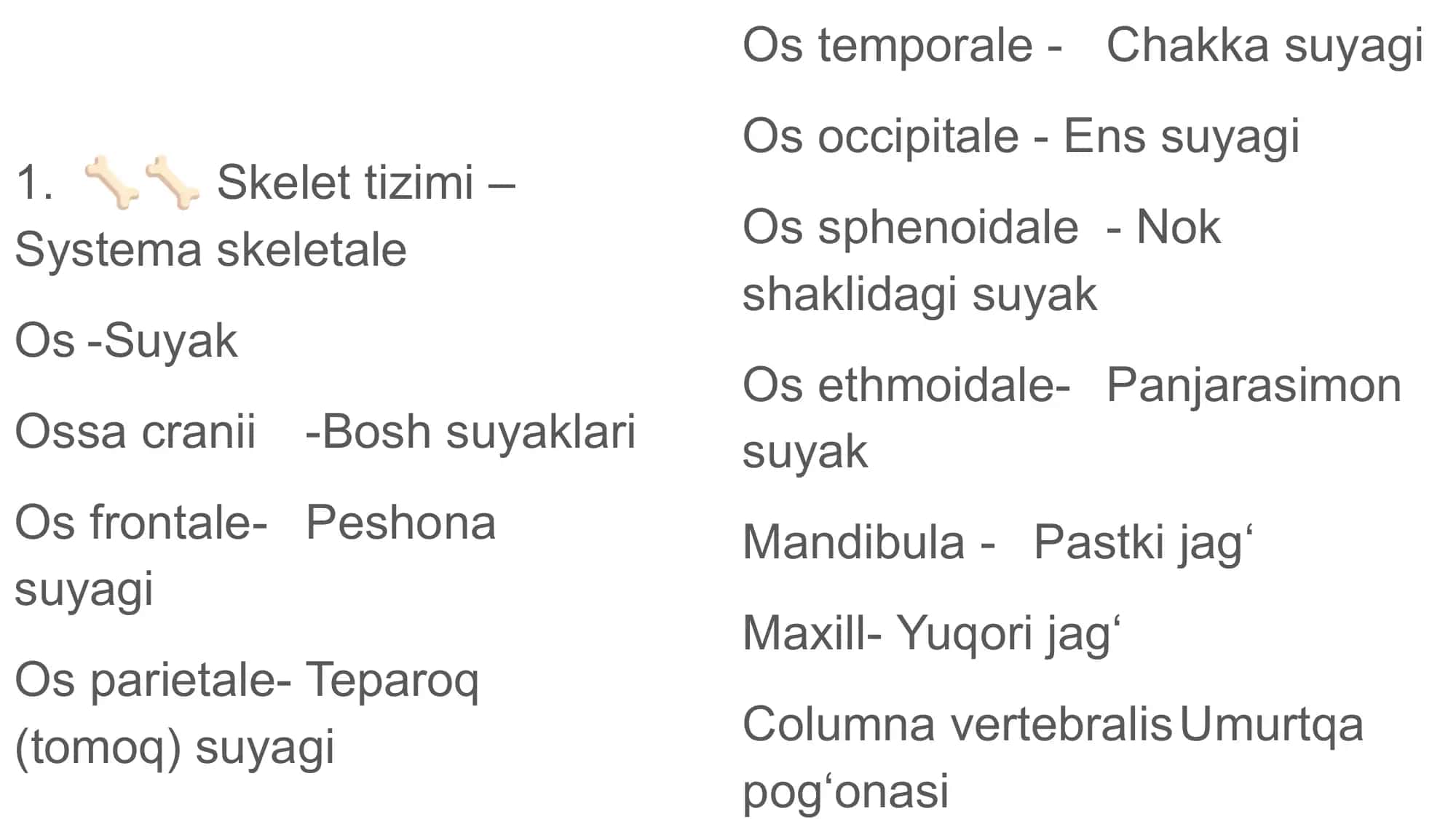 Anatomik lug’atlar 2