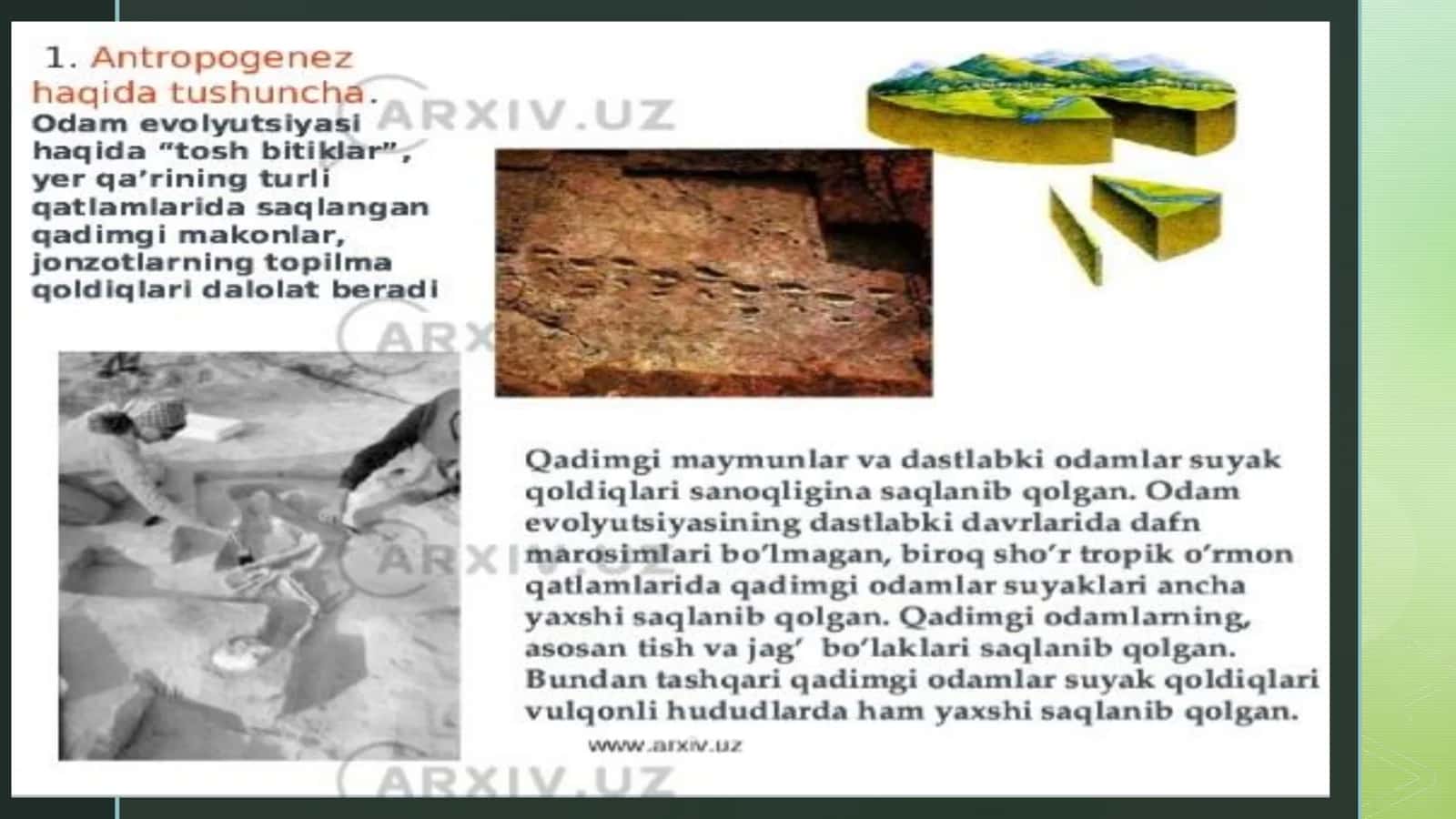 Antrapoganez jarayoni 2