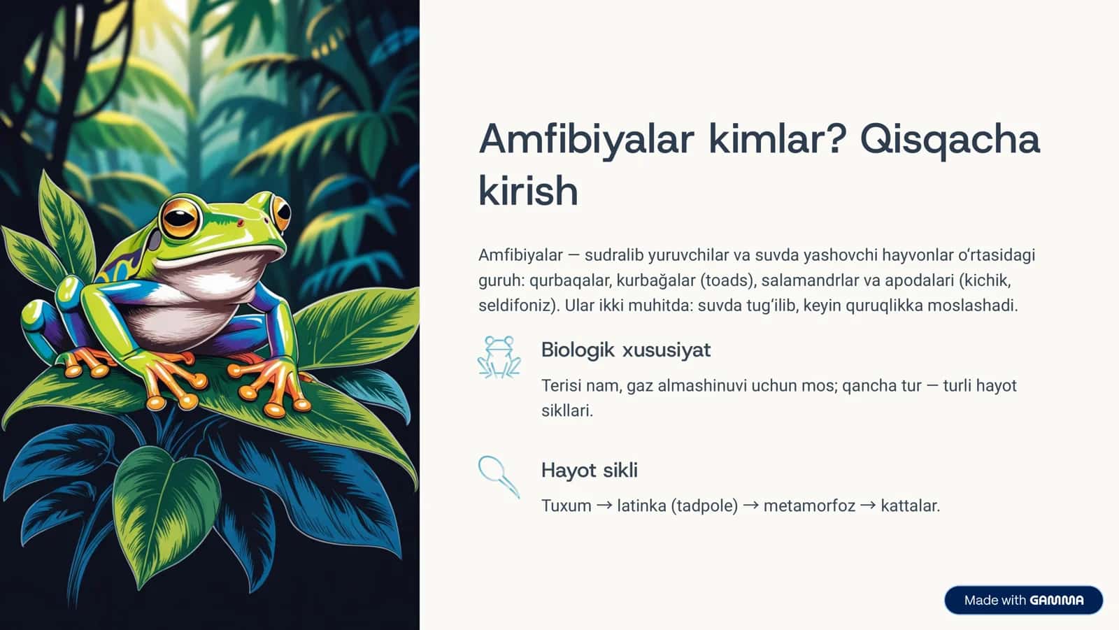 Amfibiyalarning ekologik ahamiyati va muhofazalanishi 2