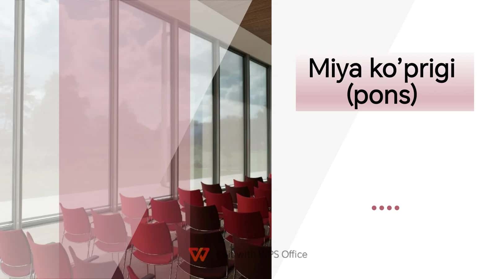miyacha va miya koprigi anatomiyasi 2