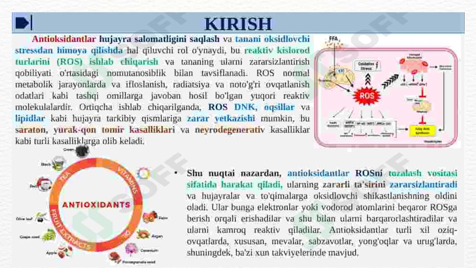 Antioksidantlar. Ularning klinikada qo'llanilishi 2