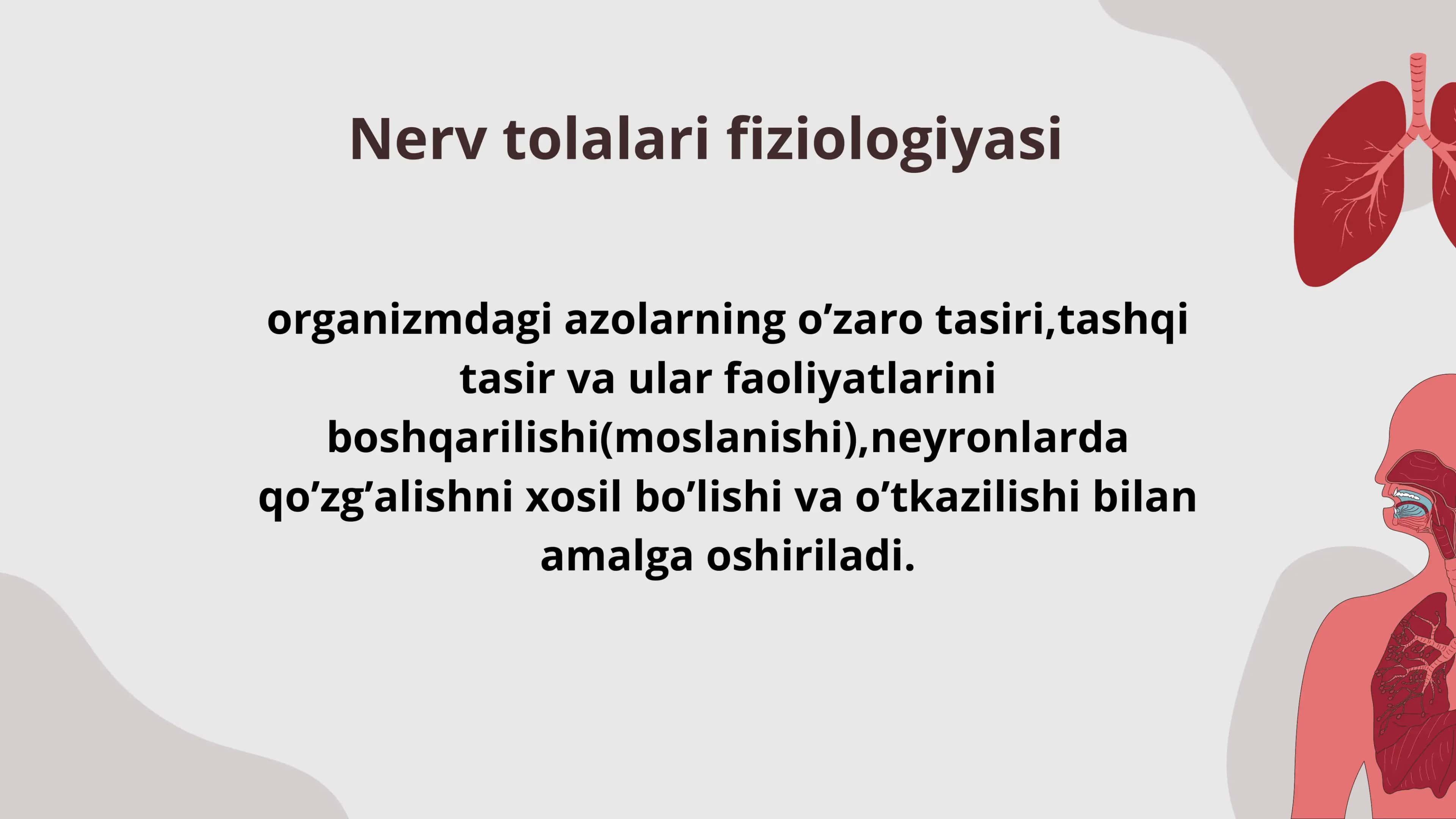 Nerv sistemasi va sinapslar fiziologiyasi 2