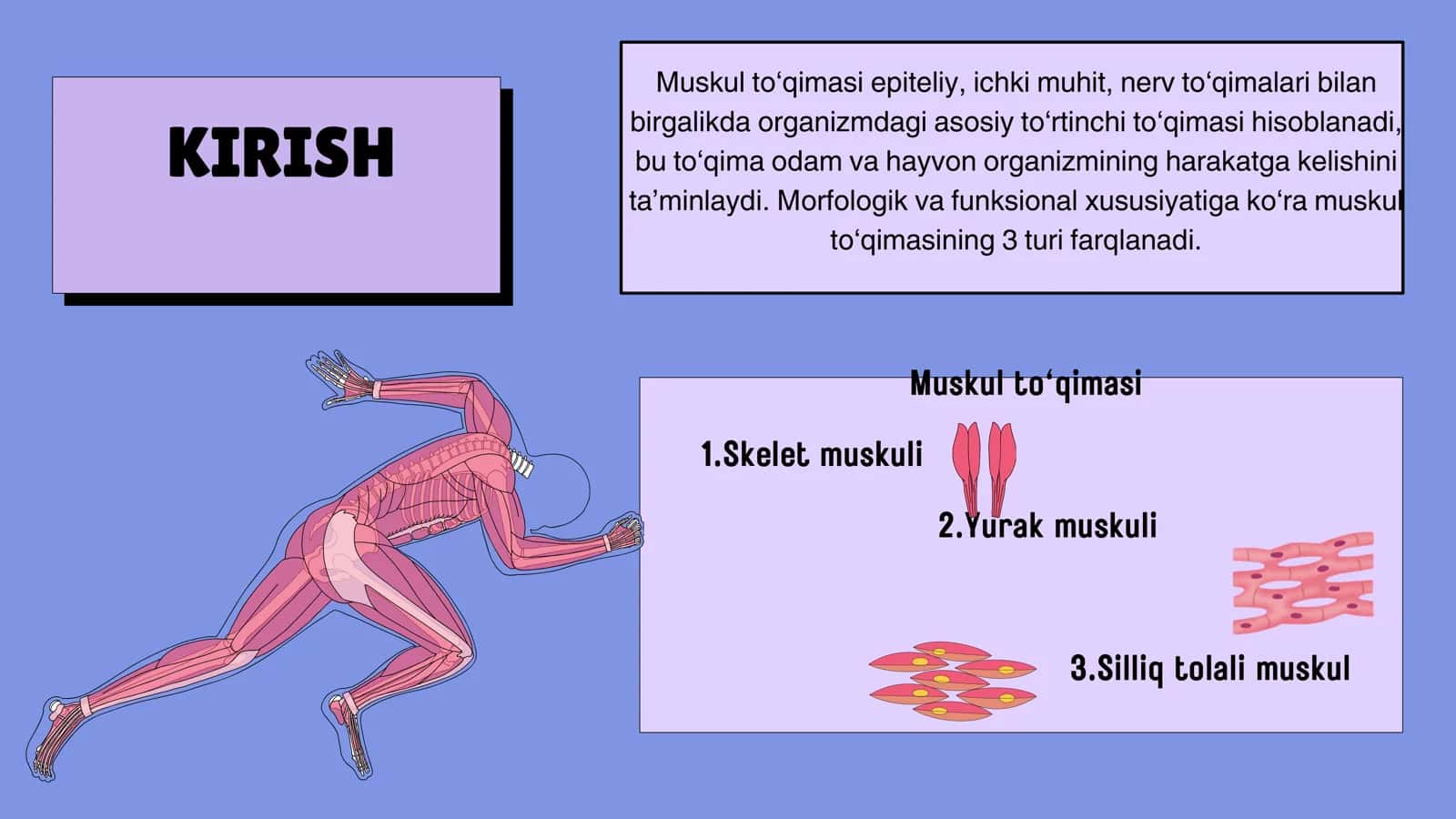 Kondalang targil va silliq mushaklarning qisqarish mexanizmi 2