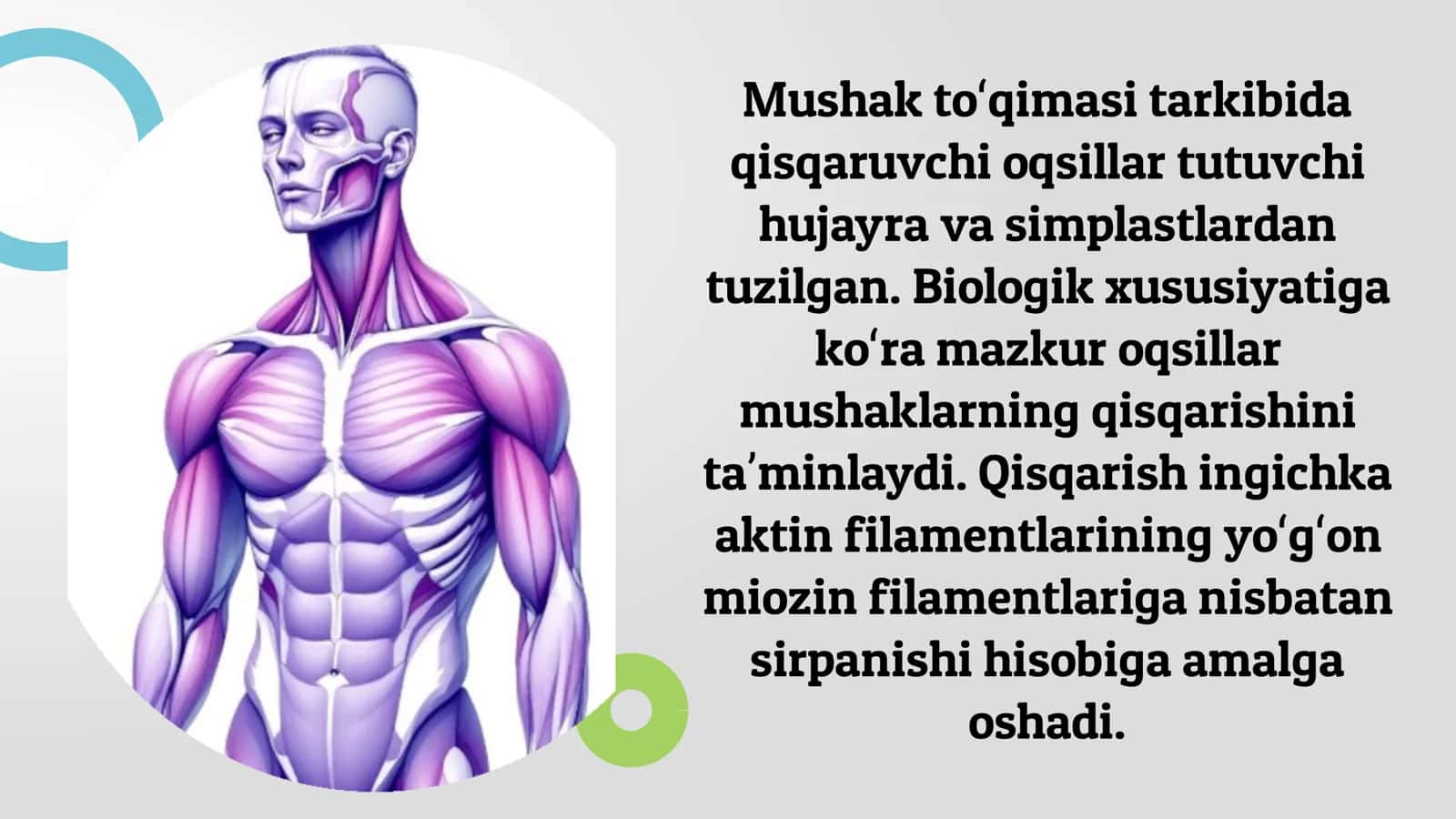 MUSHAK TOʻQIMASI 2