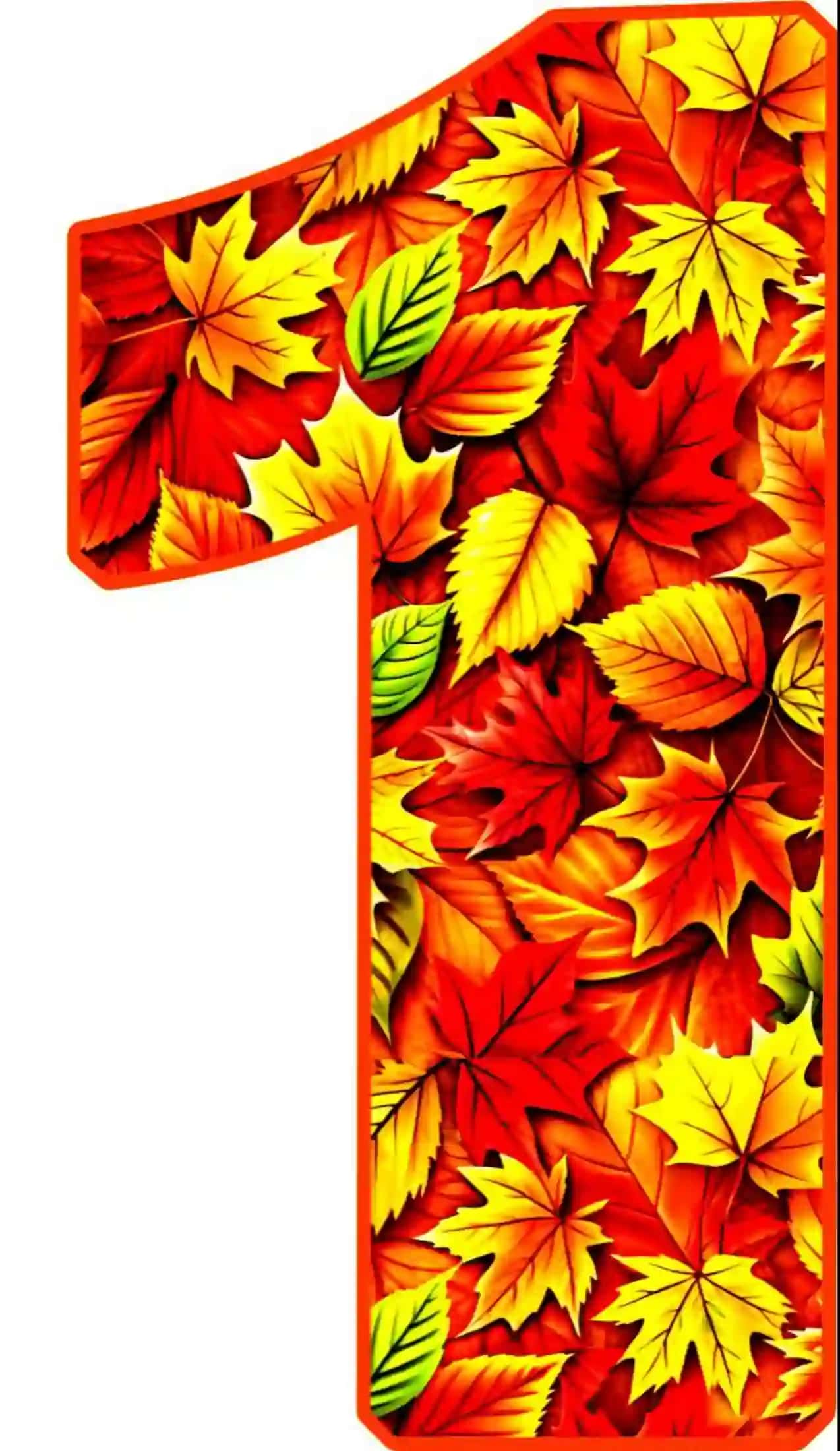 Raqamlar rasmi 2