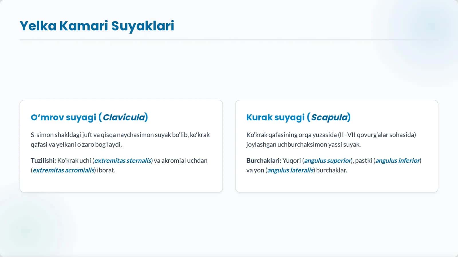 prezentatsiya 2
