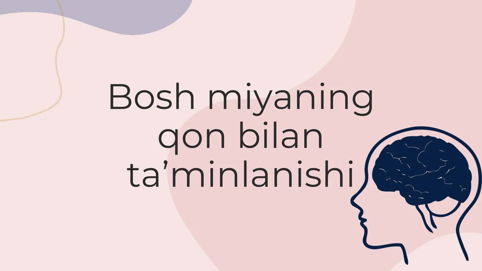 Miyani qon bilan ta'minlanishi 2