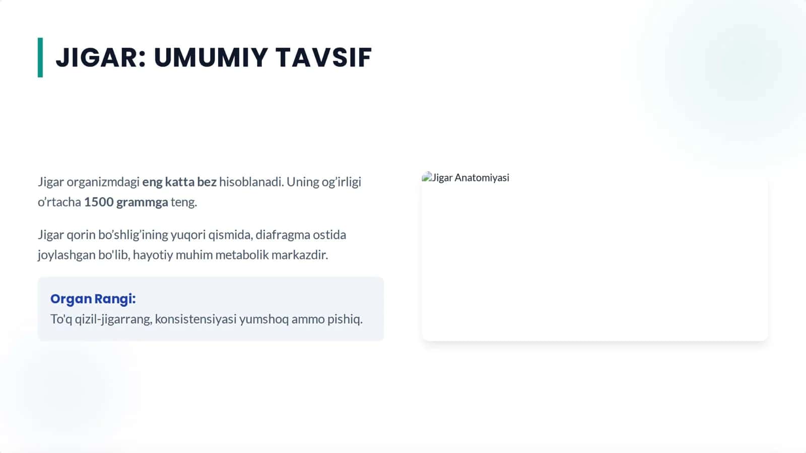 anatomiya jigar prezentatsiya 2