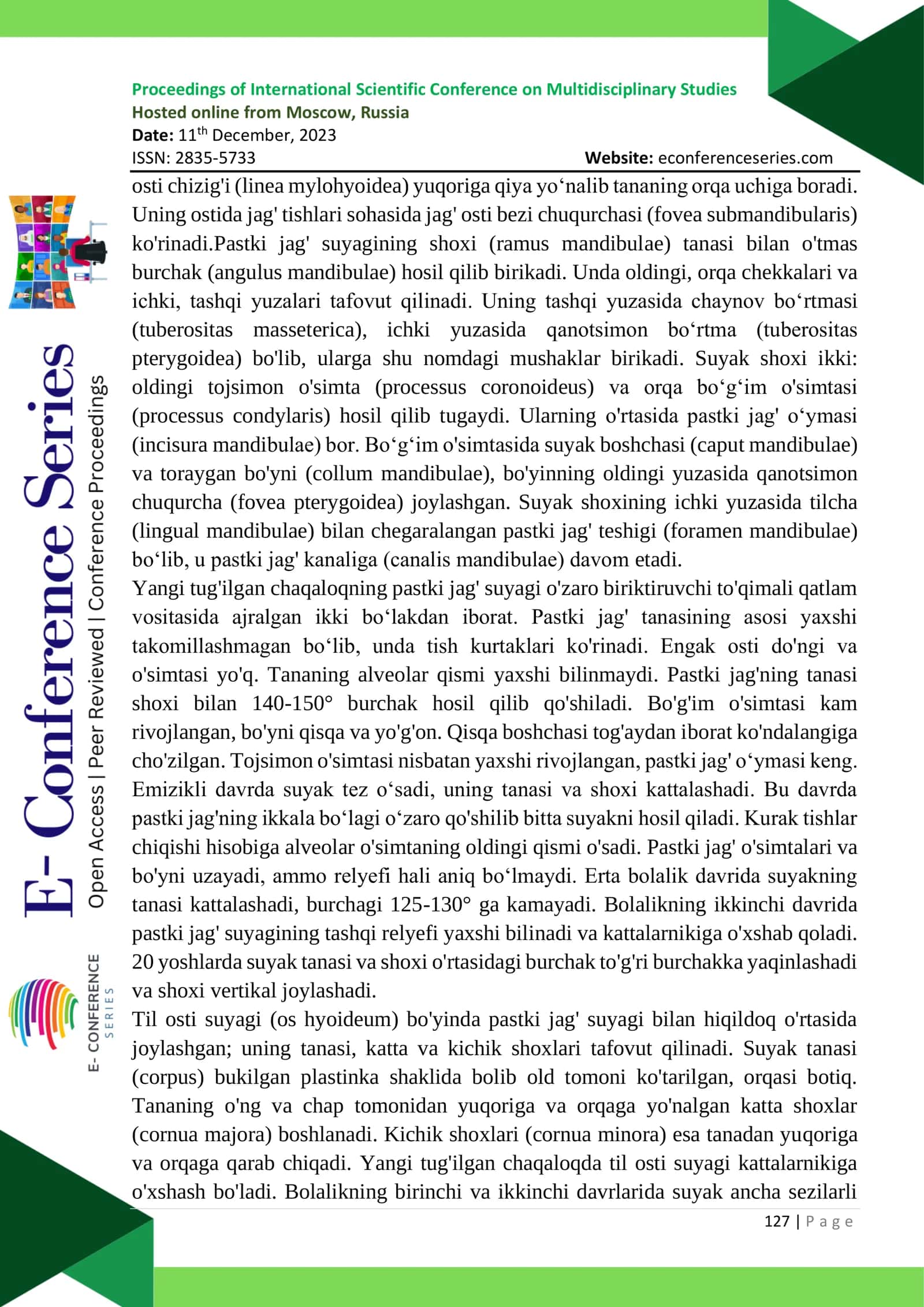 PASTKI JAG` TOPOGRAFIK ANATOMIYASI 2