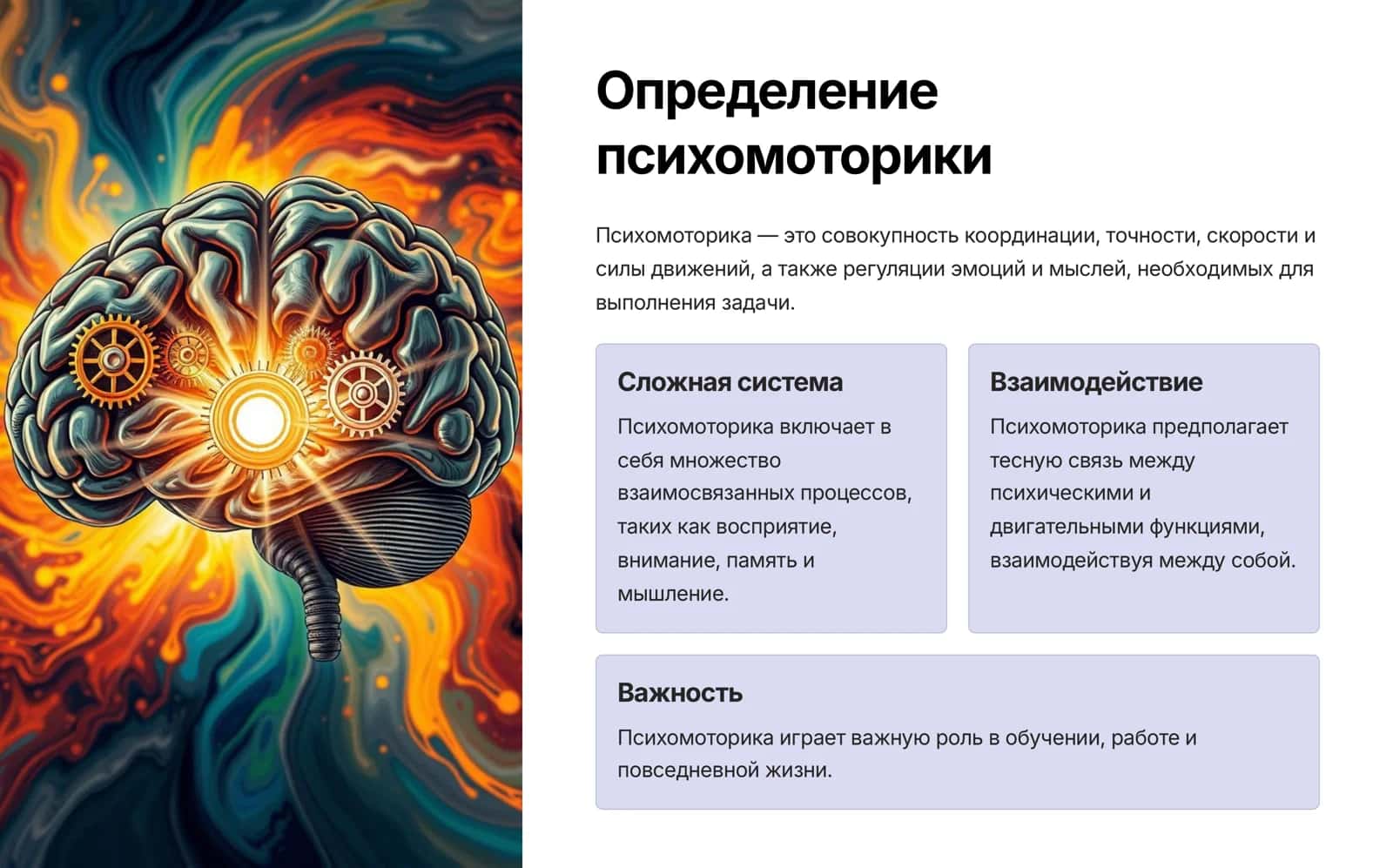 Психомоторика человека 2