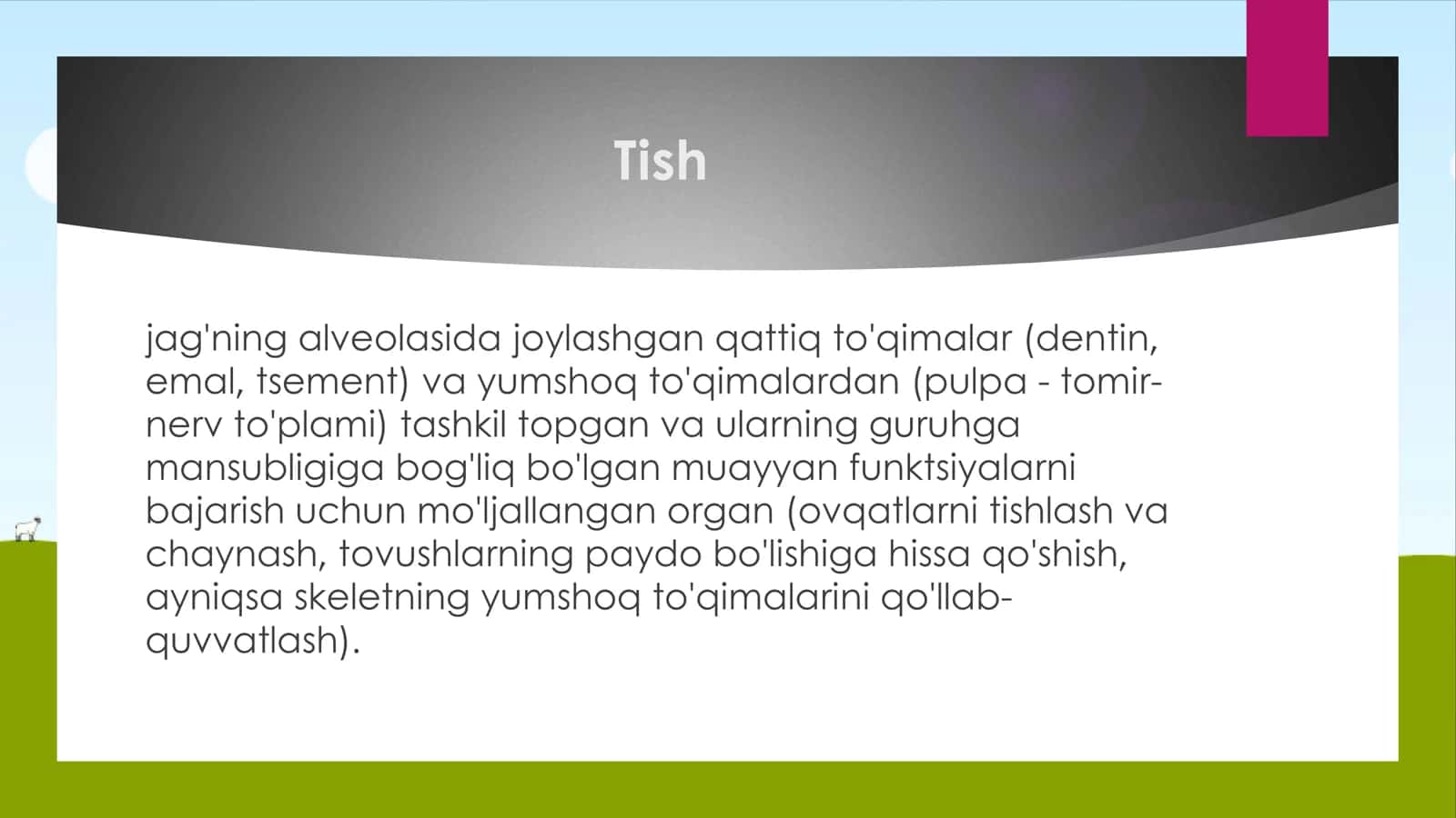 Tish haqida maʼlumot va Tishning Anatomik va Gistalogik tuzilishi 2