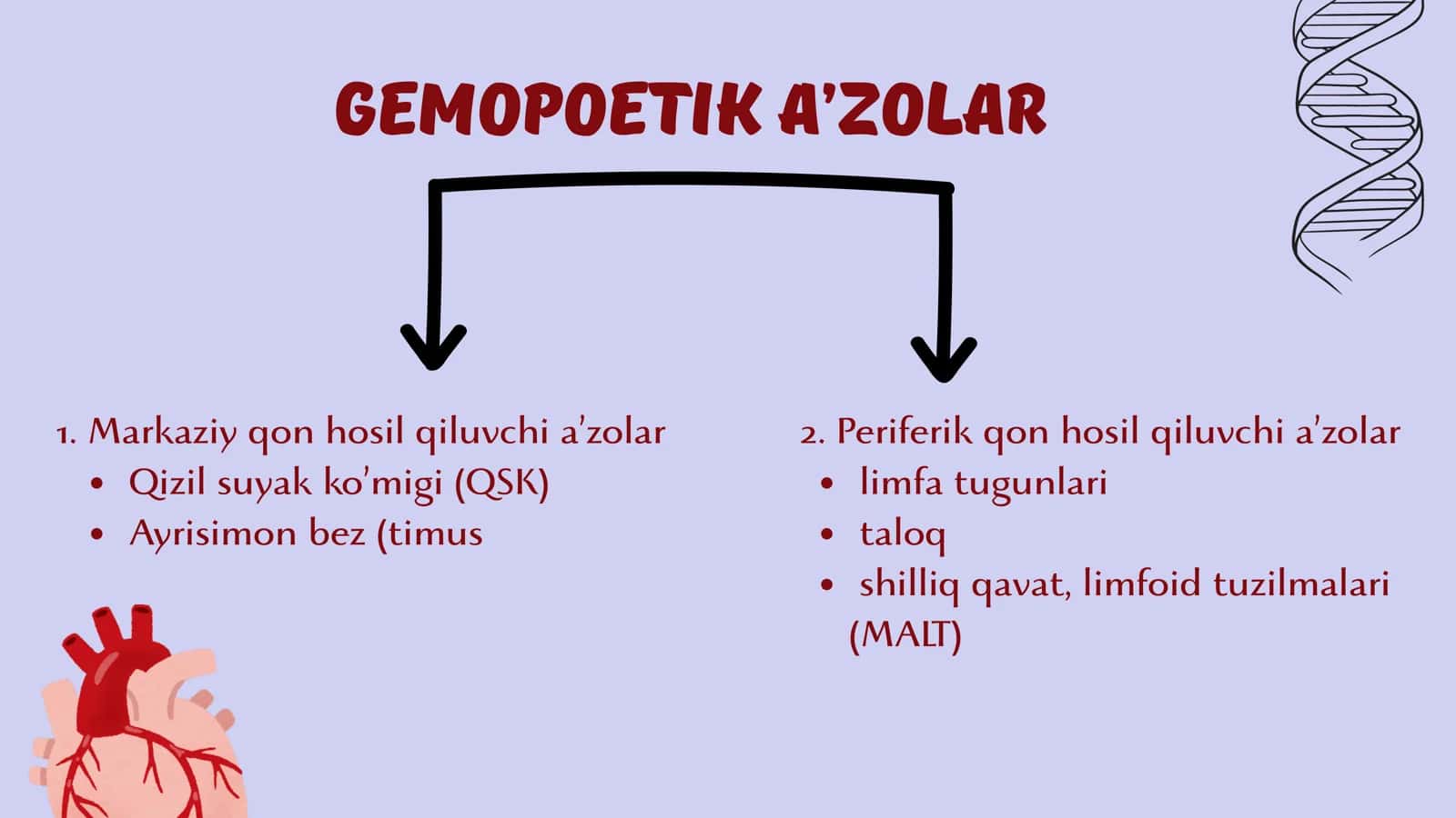 Immun va gemopoetik sistema 2