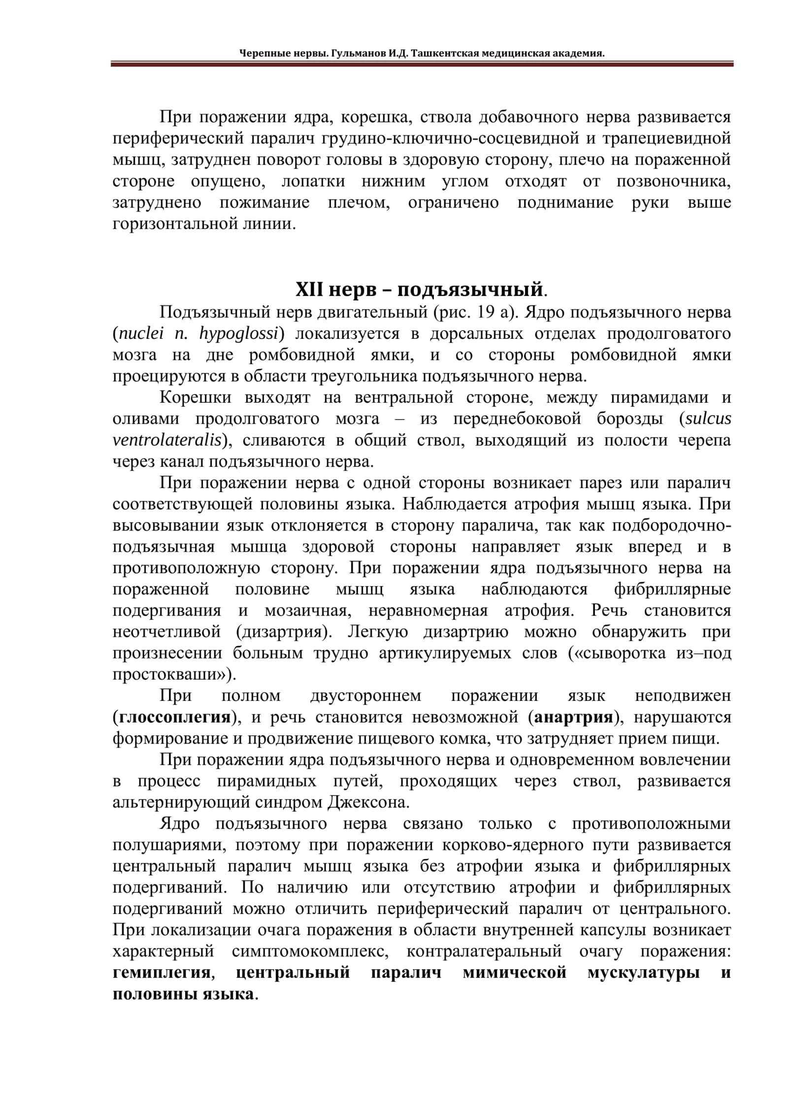 Nerv XI – добавочный 2