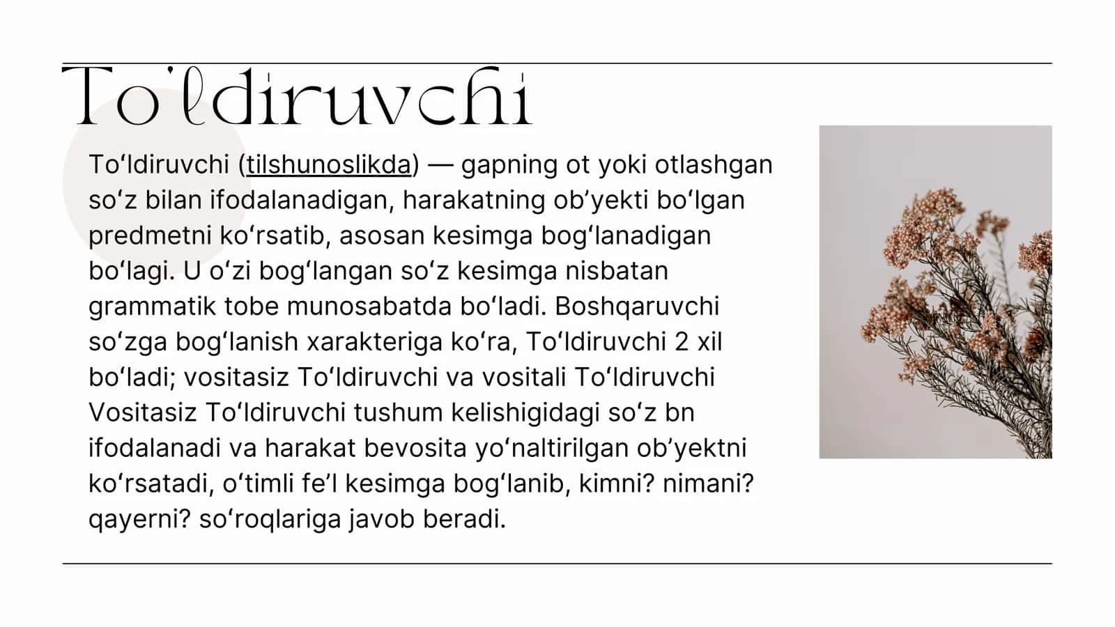 Vositali, vositasiz toʻldiruvchidan uslubiy foydalanish 2