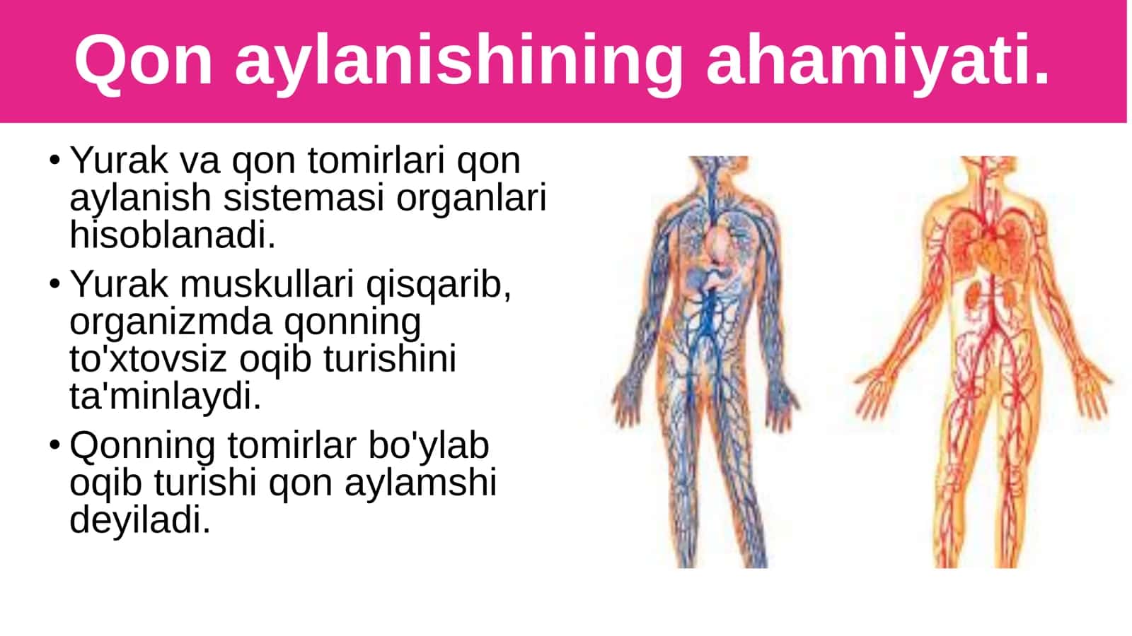8-Sinf Biologiya: “Qon Aylanishining Ahamiyati” Taqdimot 2