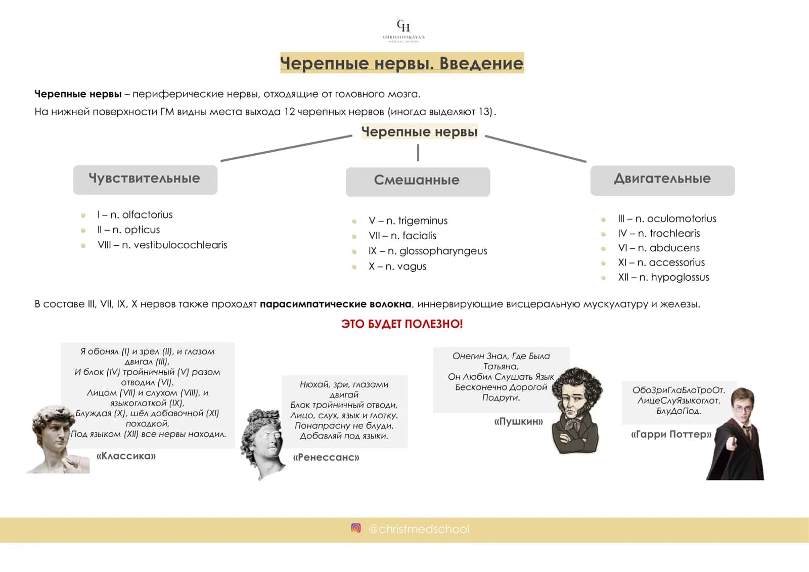 ВЕБИНАР 2: Смешанные черепные нервы 2