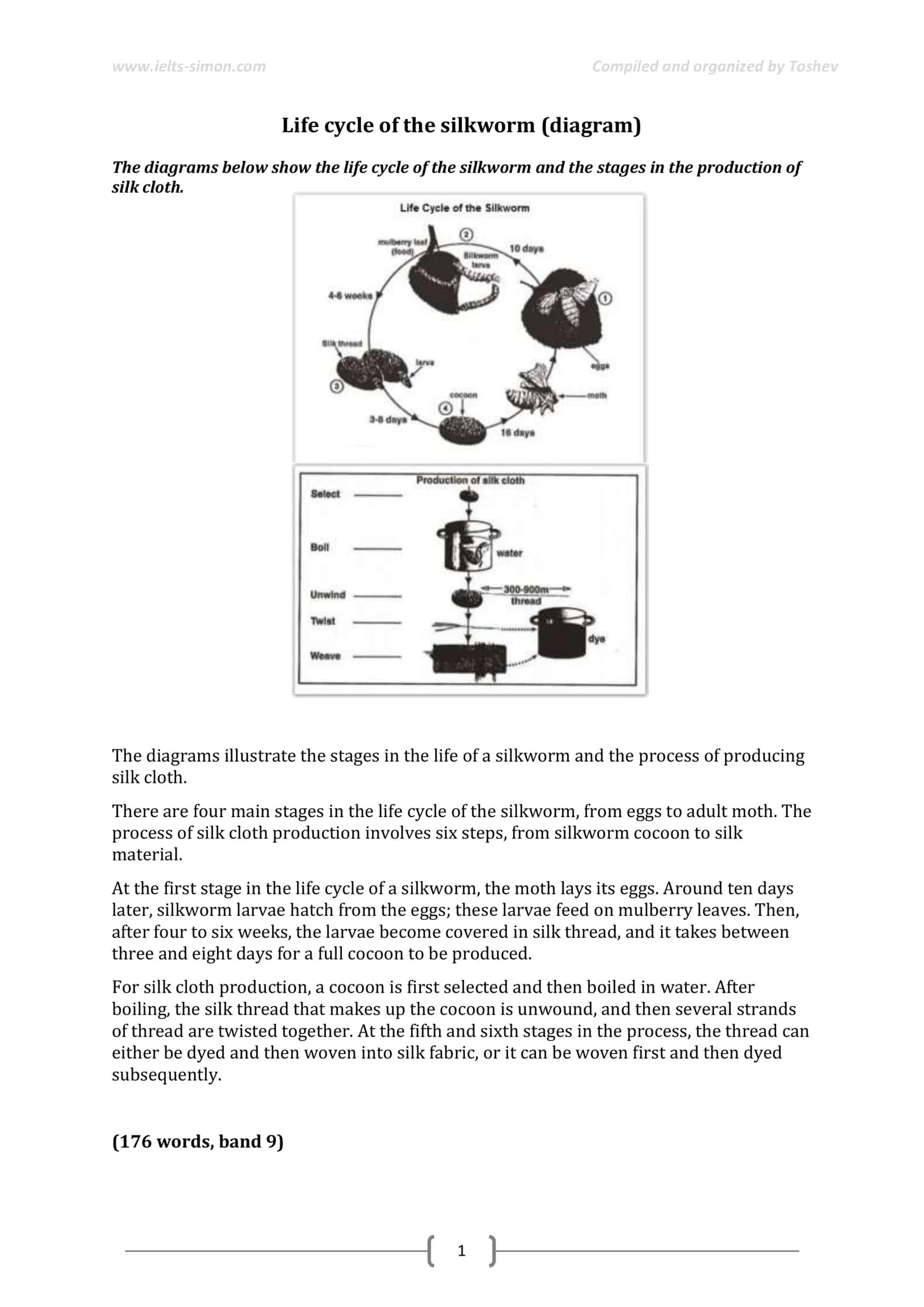 Life cycle of the silkworm (diagram) 2