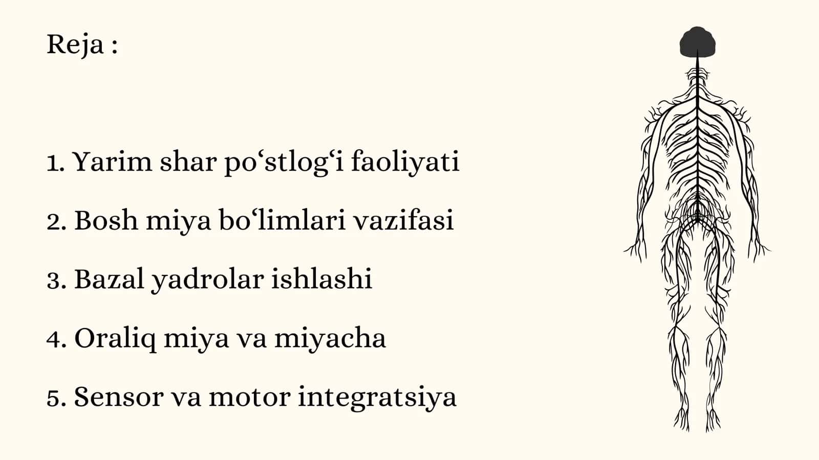 Bosh miya turli bo'limlari faoliyatini o'rganish. Boshmiya yarim sharlar po'stlogʻining fiziologiyas 2