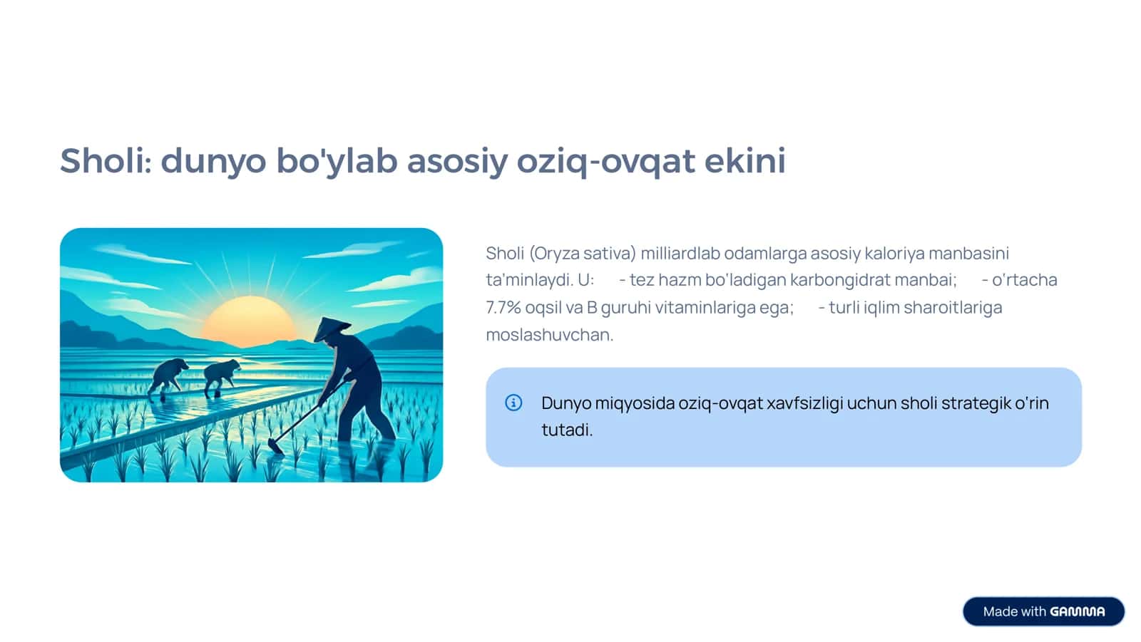 Sholi donining anatomik tuzilishi va yorma ishlab chiqarishdagi ahamiyati 2