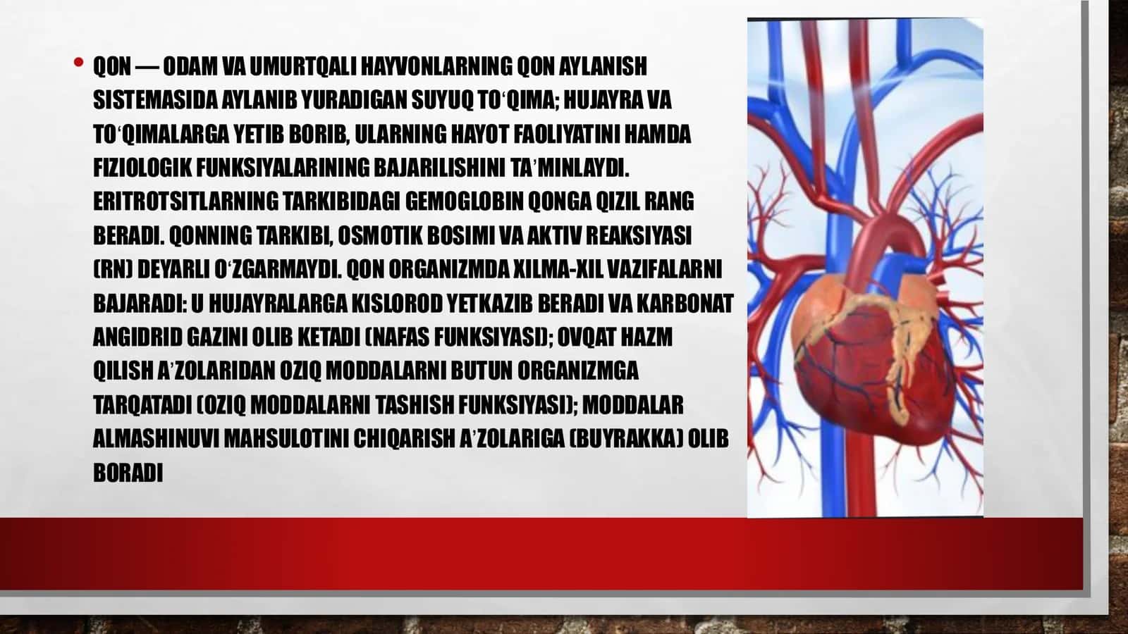 QON. QON GURUHLARI. REZUS FAKTOR 2