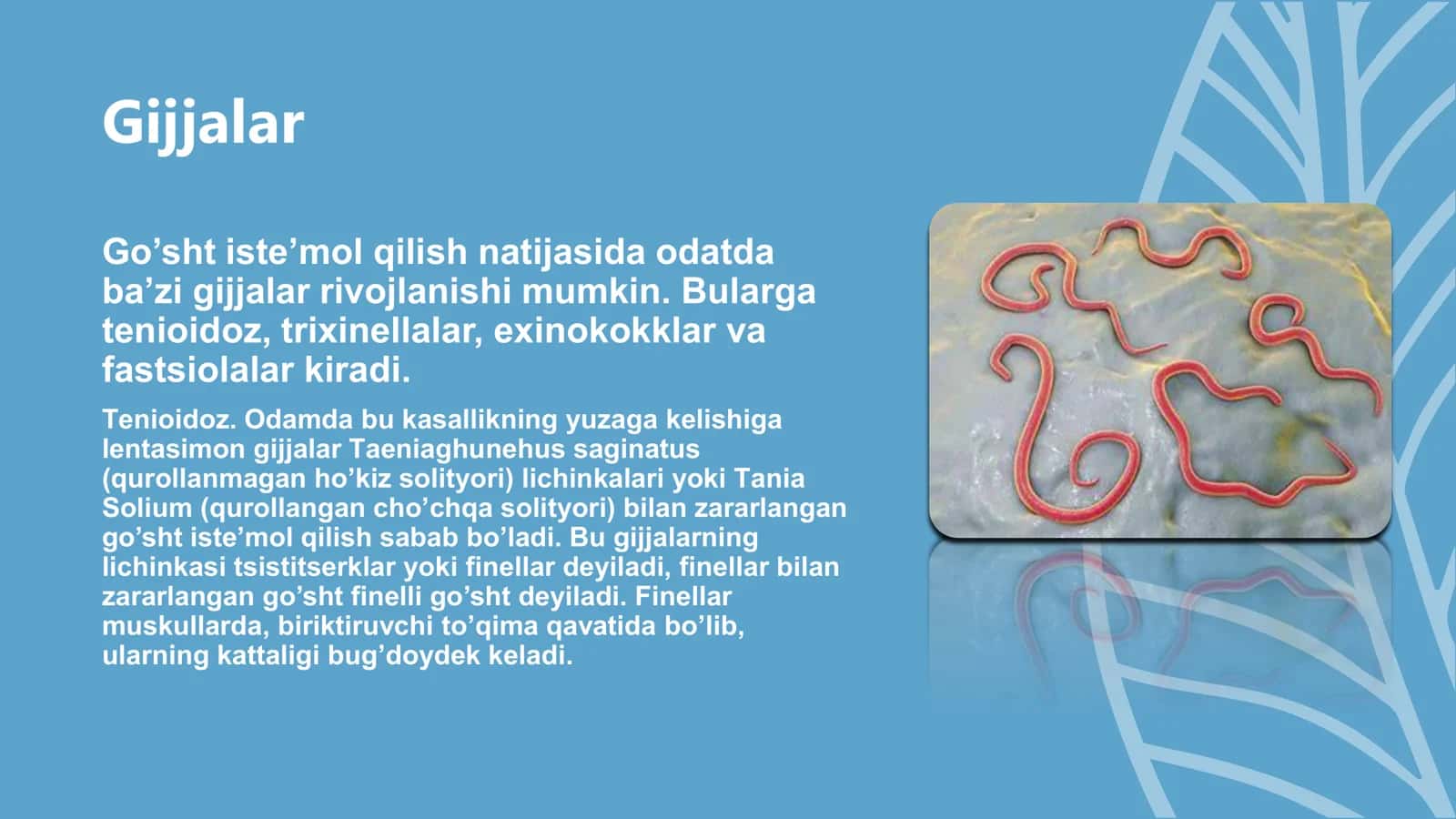 Goshtdan o`tuvchi yuqumli kasaliklar 2