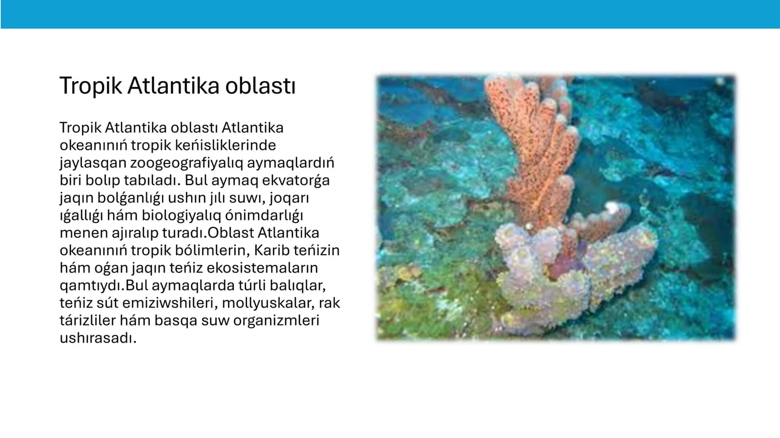 Tropik Atlantika oblasti 2