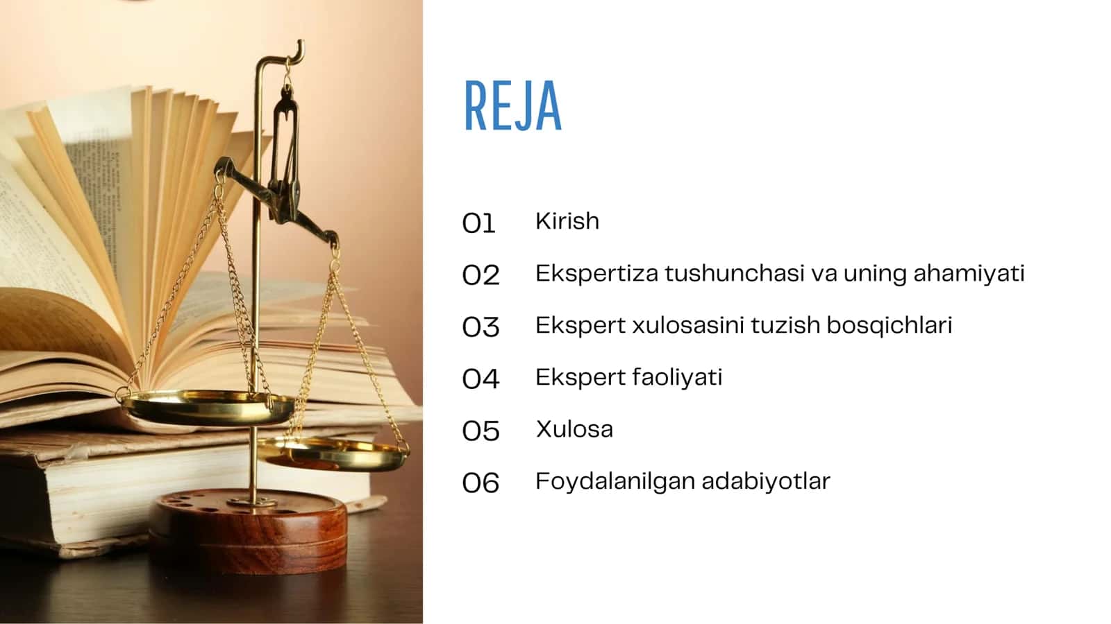Ekspert xulosasi to'xtamlarini tuzish 2