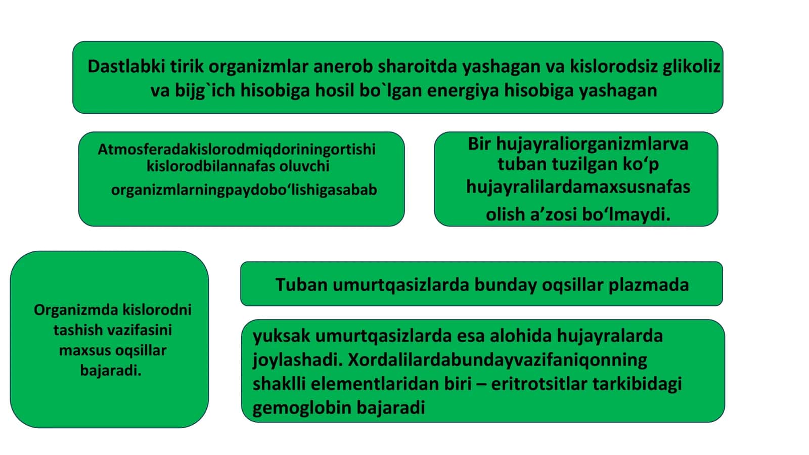Nafas olish organi 2