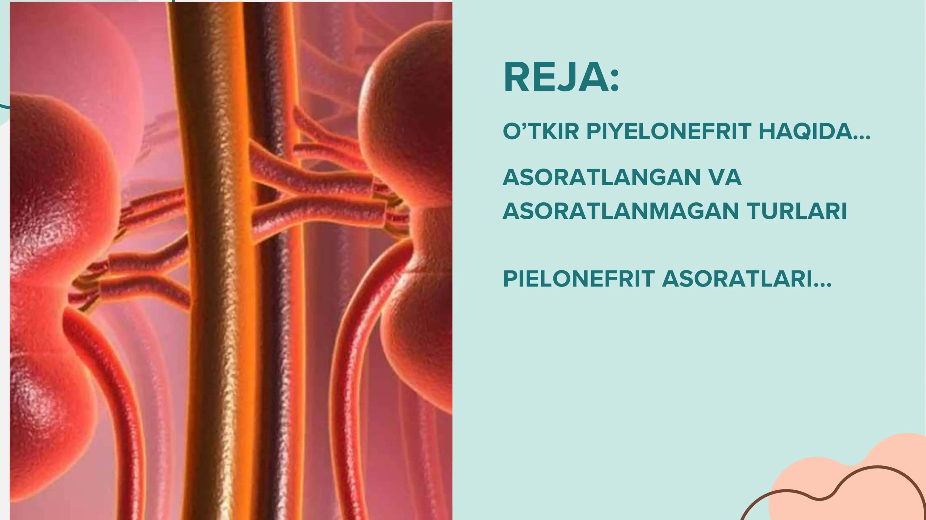 O’TKIR PIELONEFRIT 2