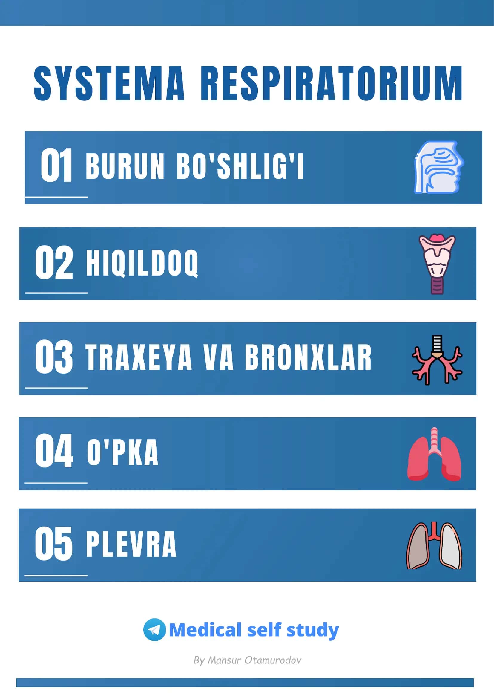 Nafas olish sistemasi anatomiyasi 2