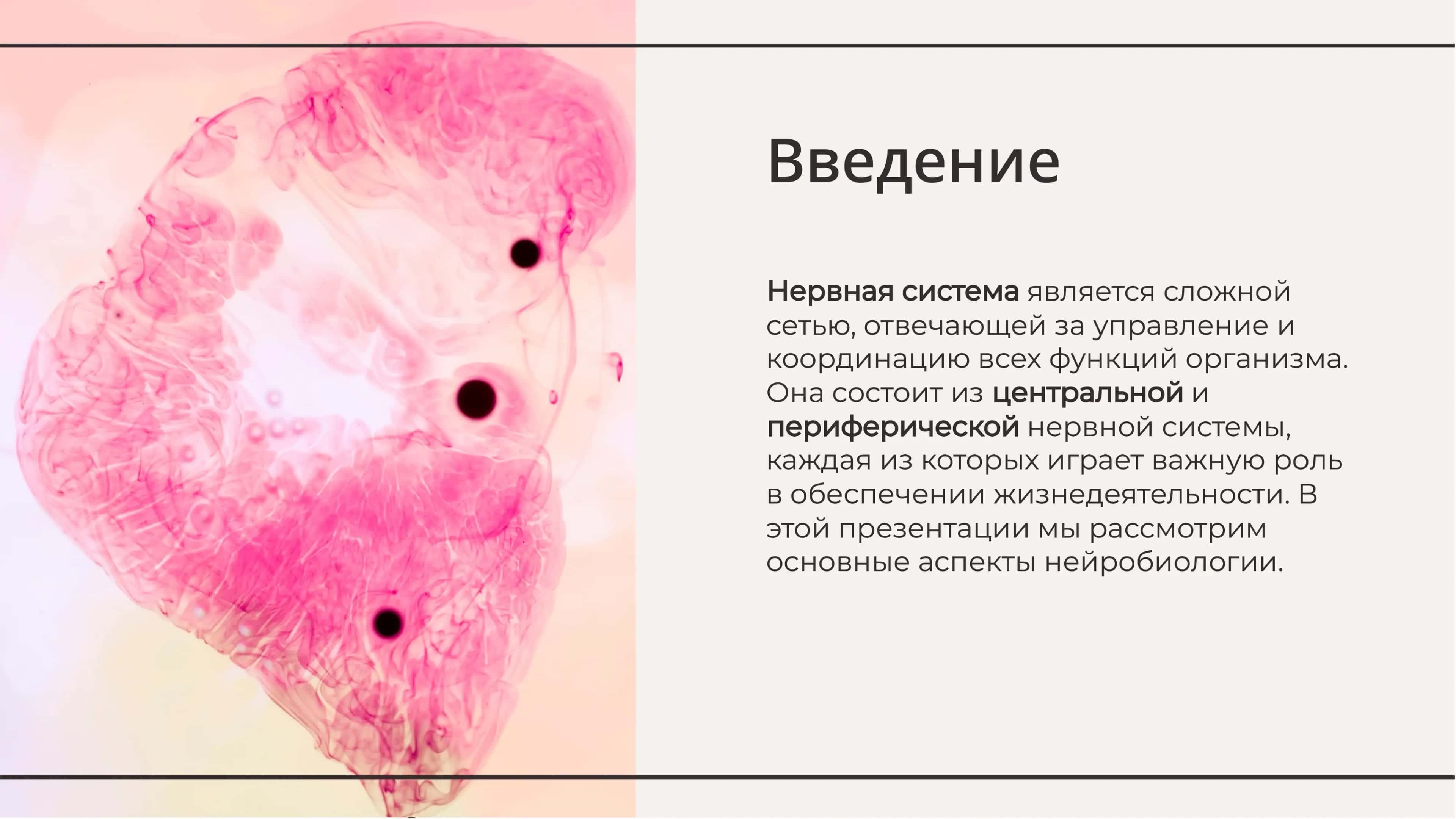 Нервная система 2