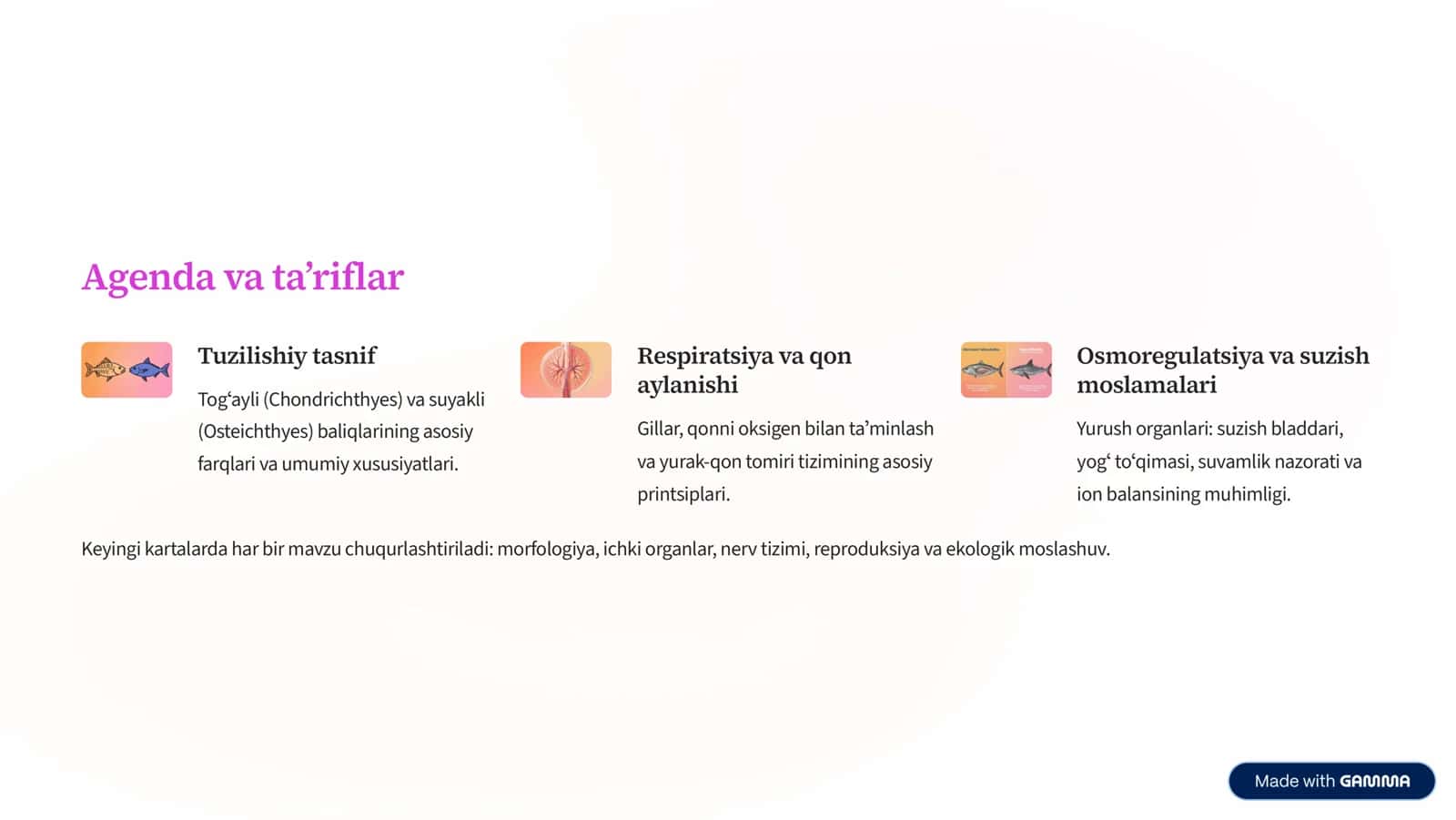 Tog»ayli va suyakli baliqlarning morfologik va fiziologik tuzilishi 2