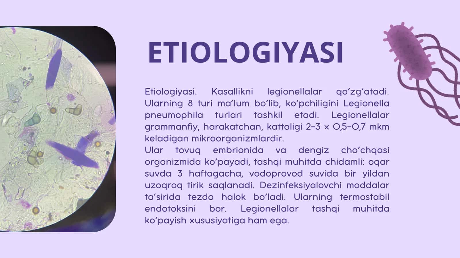 Legionellyoz. Etiologiya epidemiologiya, klinikasi, diagnostika, davolash 2