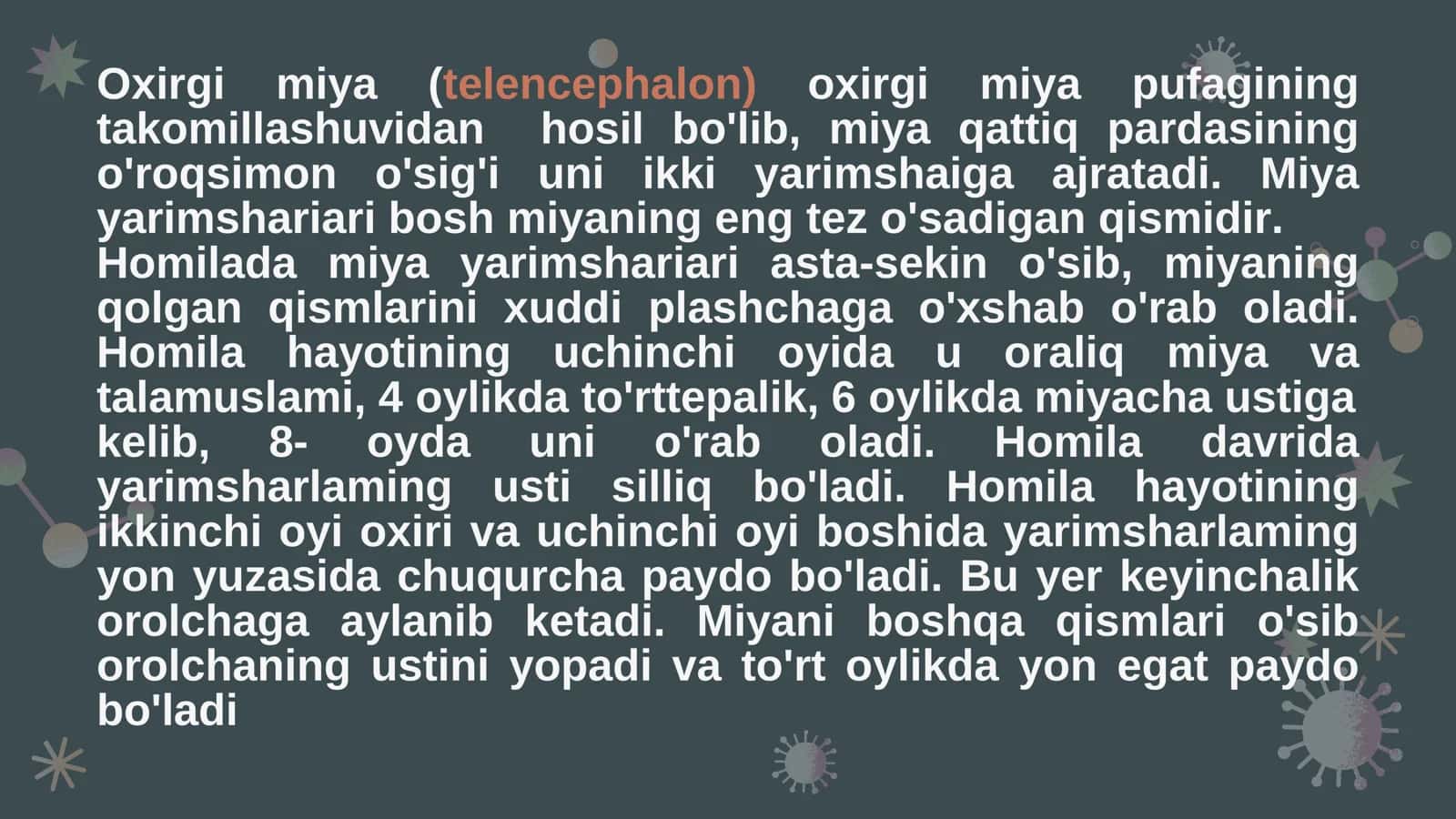 Oxirgi miya va Bosh miya 2