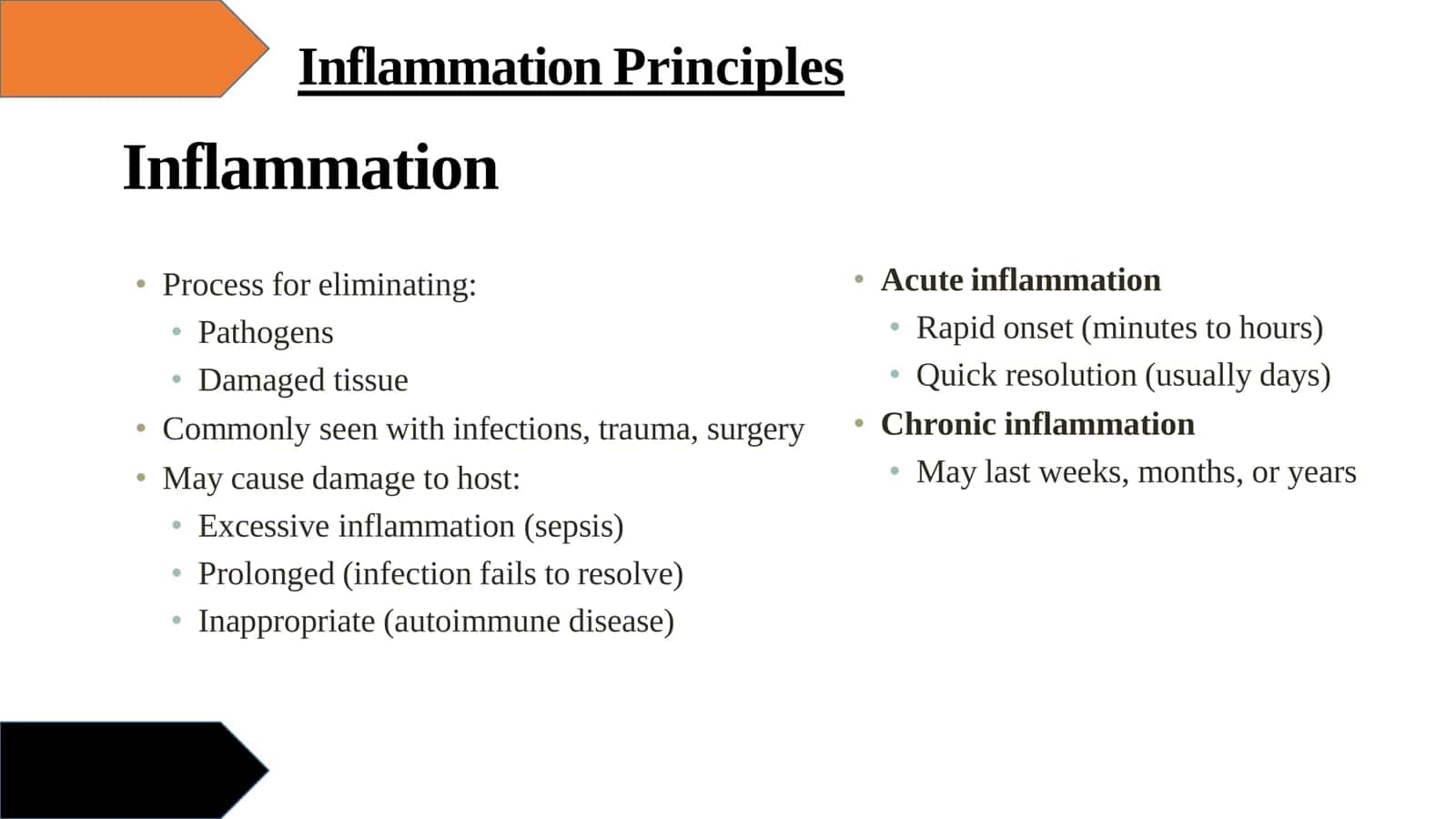 Inflammation Principles 2
