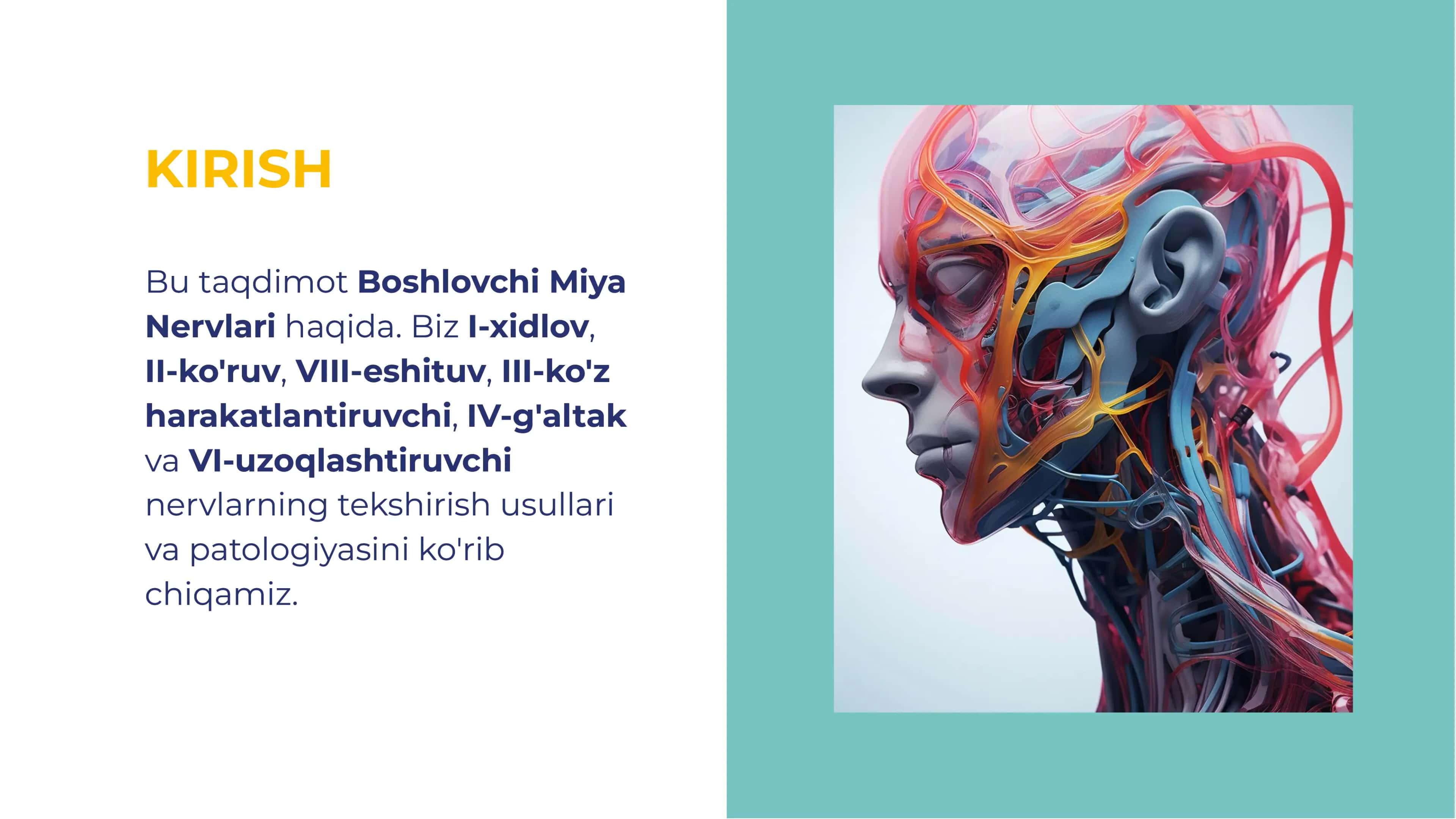 Bosh miya nervlari. I-xidlov nervi, II-ko'ruv nervi, VIII-eshituv nervi III-ko'z harakatlantiruvchi nervi IV-g'altak nervi  VI- uzoqlashtiruvchi nervi  tekshirish usullari va patologiyasi 2