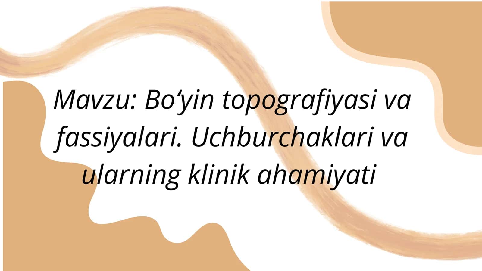 Boʻyin topografiyasi va fassiyalar. Uchburchaklar va ularning ahamiyati 2