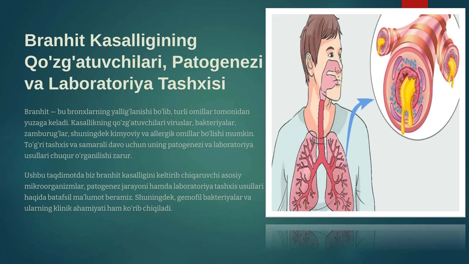 Branhit Kasalligining Qo'zg'atuvchilari, Patogenezi va Laboratoriya Tashxisi 2