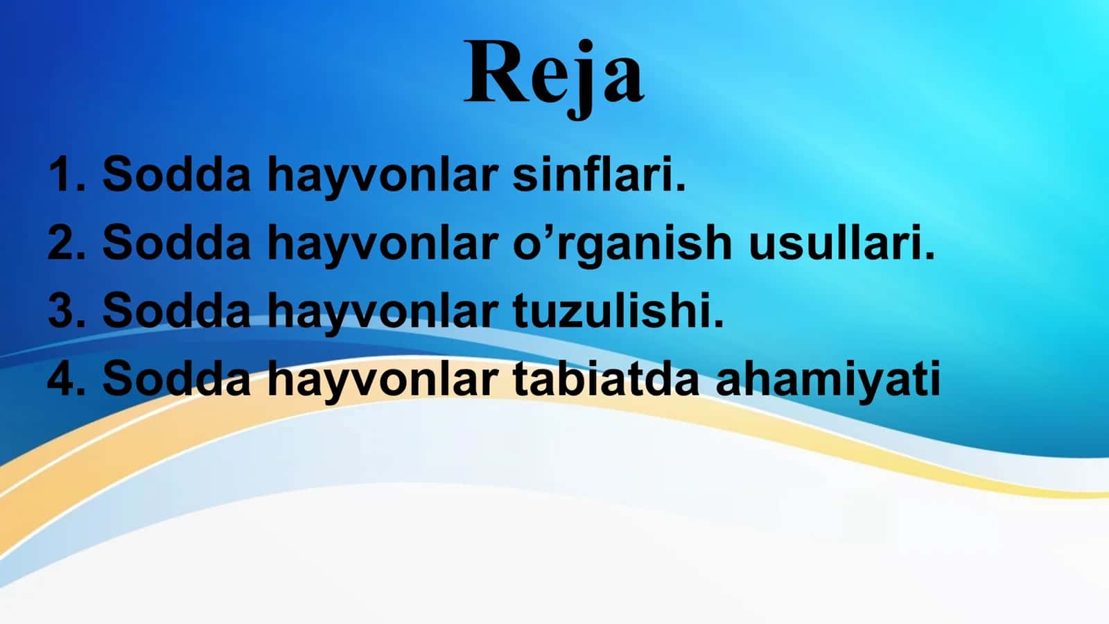 Sodda hayvonlar 2