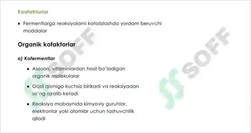 Fermentlar 2