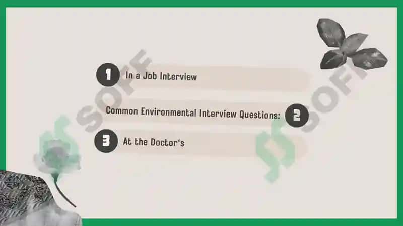 Environmental Problems 2