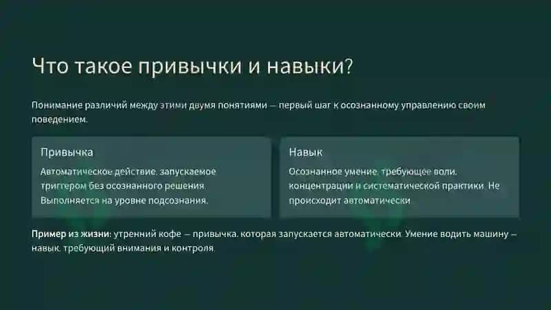 привычки и навыки личности 2