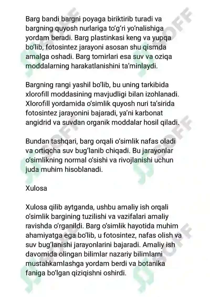 O‘simlik bargining tuzilishi va vazifalari 2